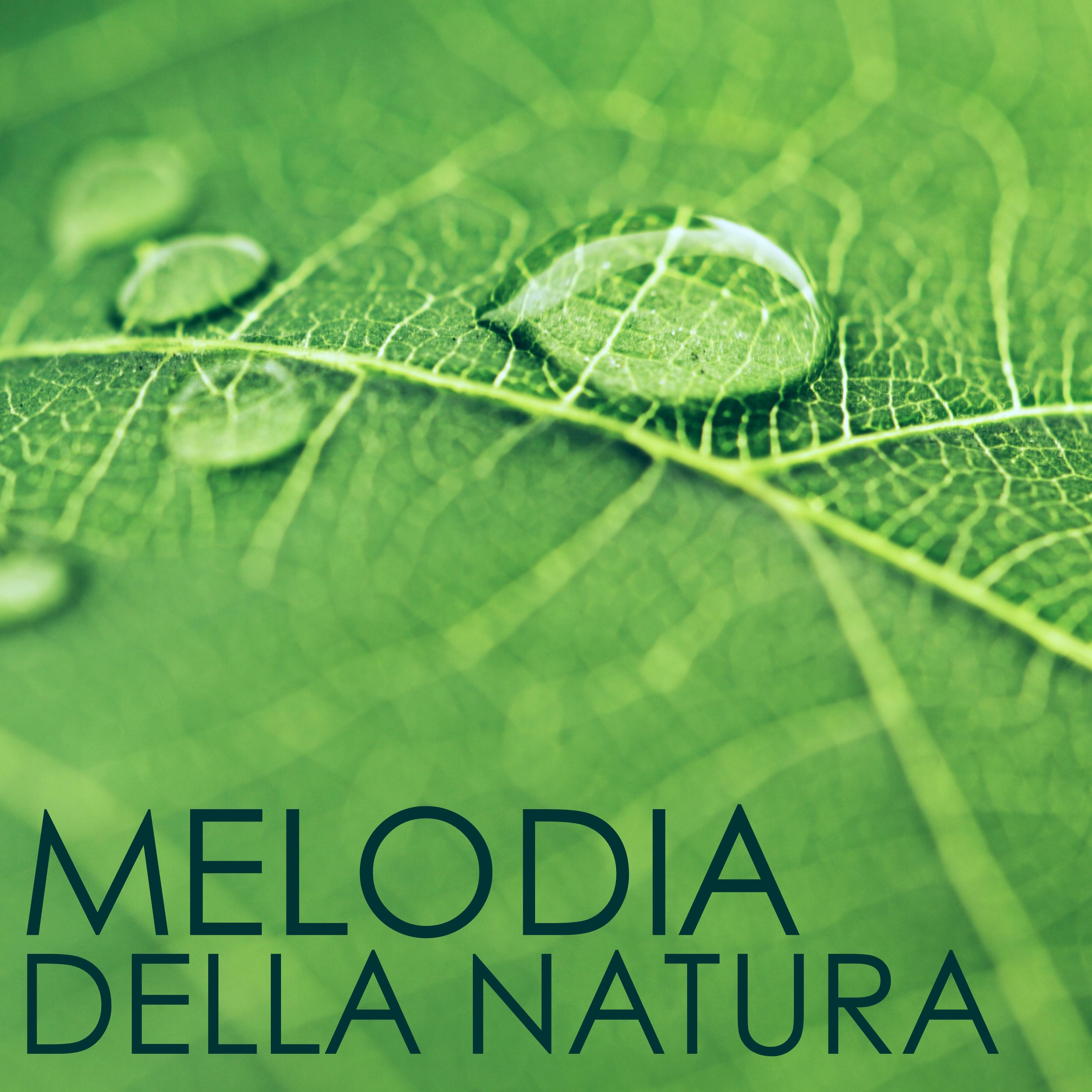 Melodia della Natura - Suoni Naturali e Musica Rilassante per Curare lo Spirito e il Corpo