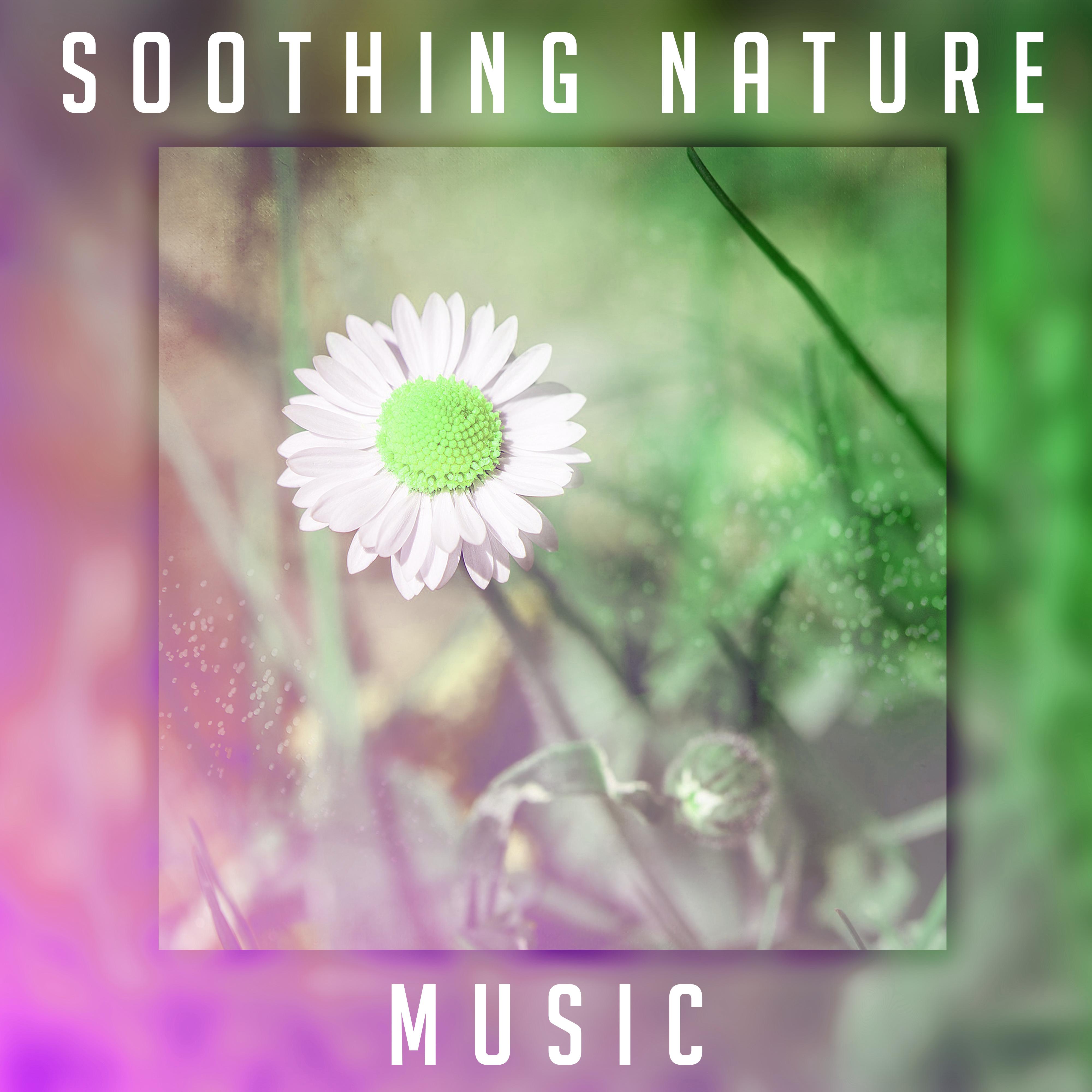 Soothing Nature Music – Calm Down & Relax, Rest with New Age Sounds, Nature Waves, Healing Therapy