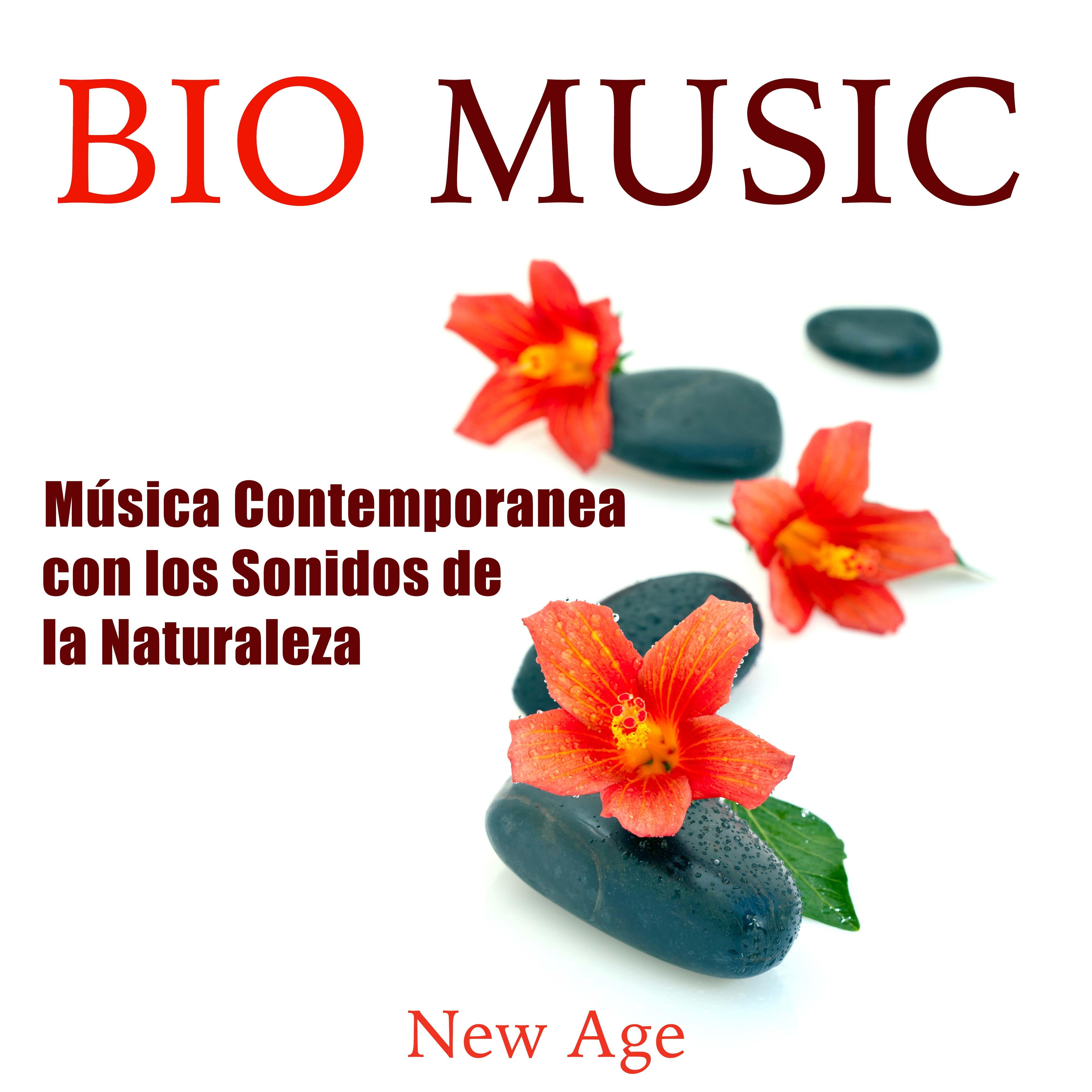 Bio Music - Musica Contemporanea con los Sonidos de la Naturaleza y Musica Relajante para Meditar