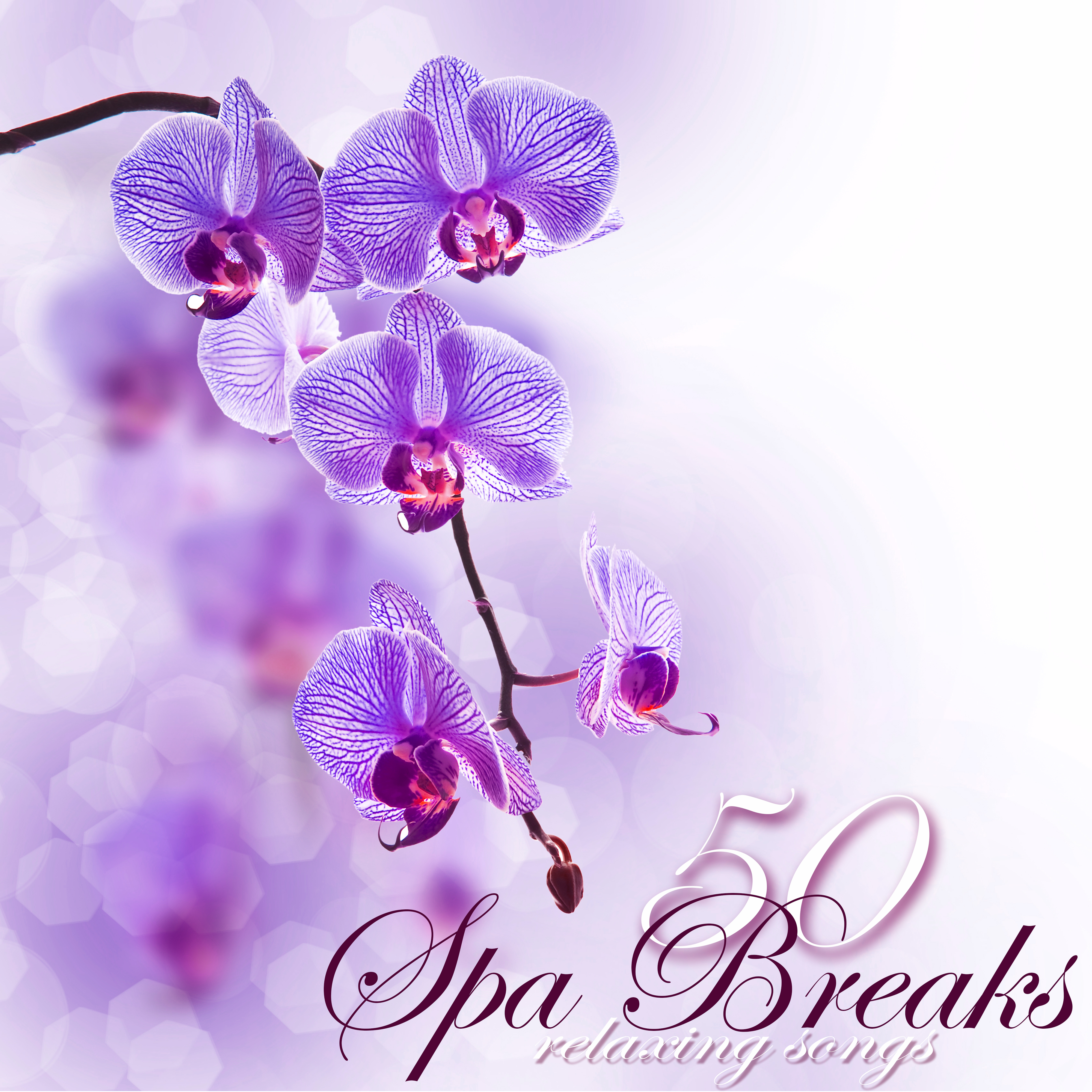 Spa Breaks 50 Relaxing Songs – Fifty Quiet Moments of Relaxation under Bamboo Shades in Your Zen Room, Emotional Peaceful Songs for Spa Day