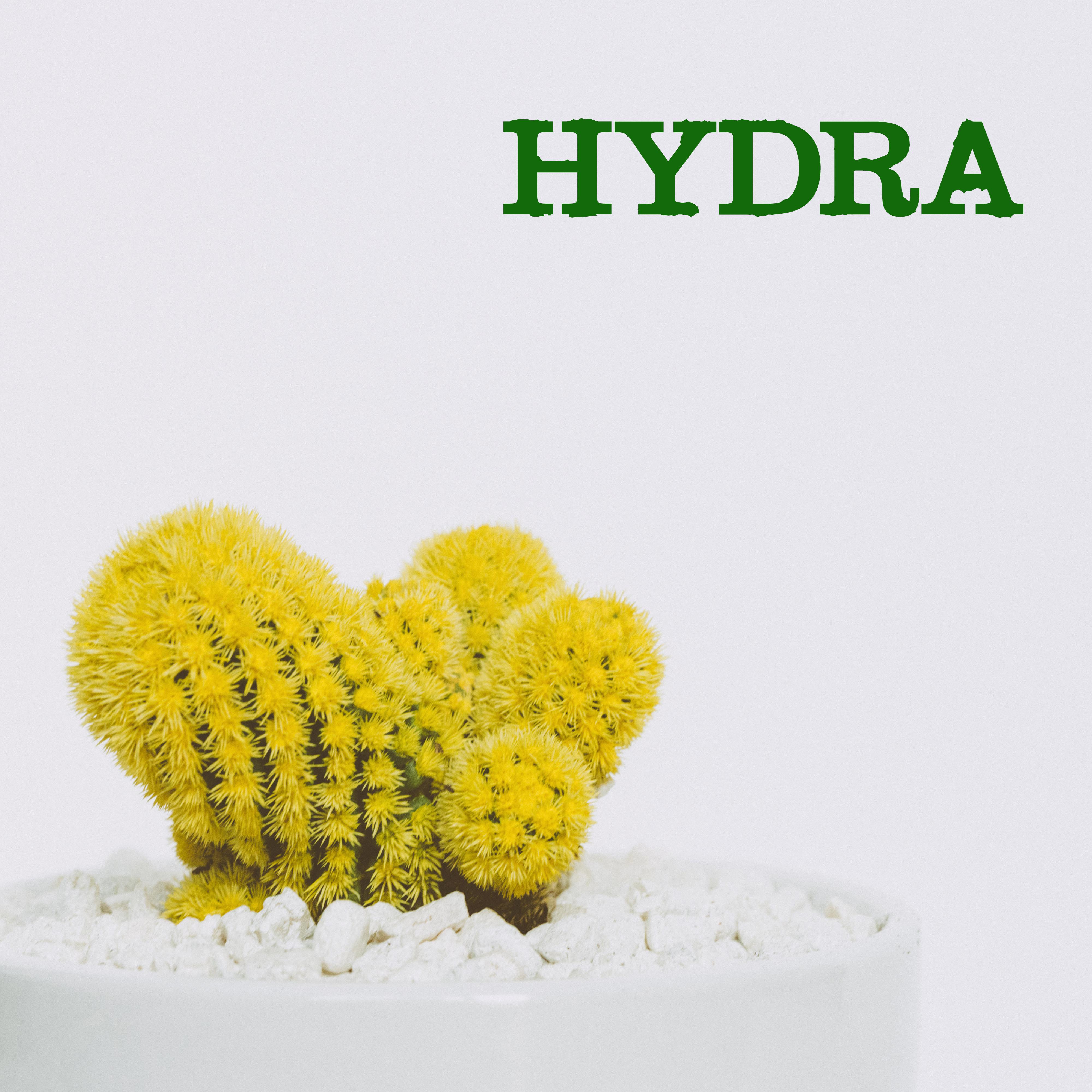 Hydra