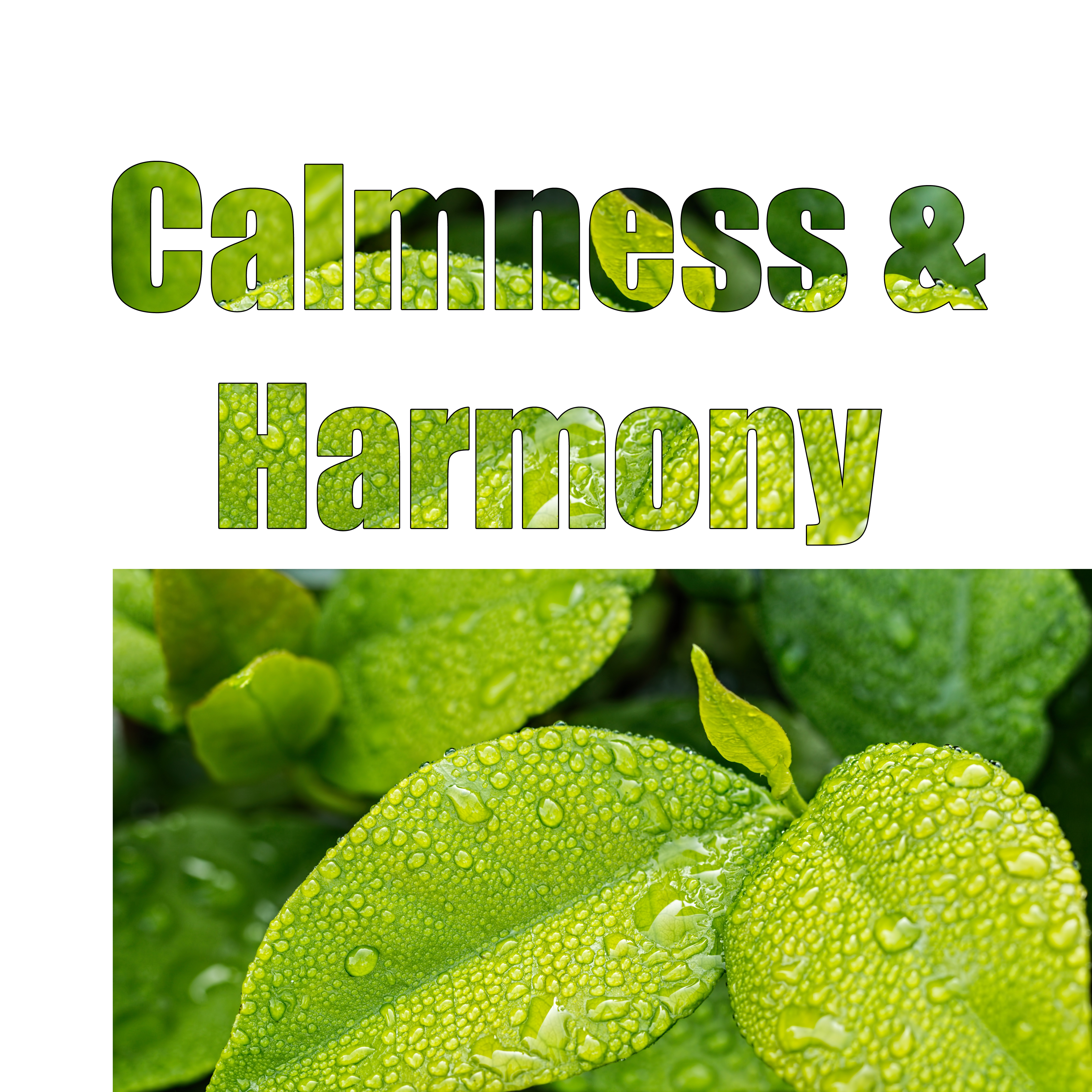 Calmness & Harmony – Pure Relaxation, Peaceful Mind, Nature Sounds for Relaxation, Soothing Waves, Deep Sleep, Zen