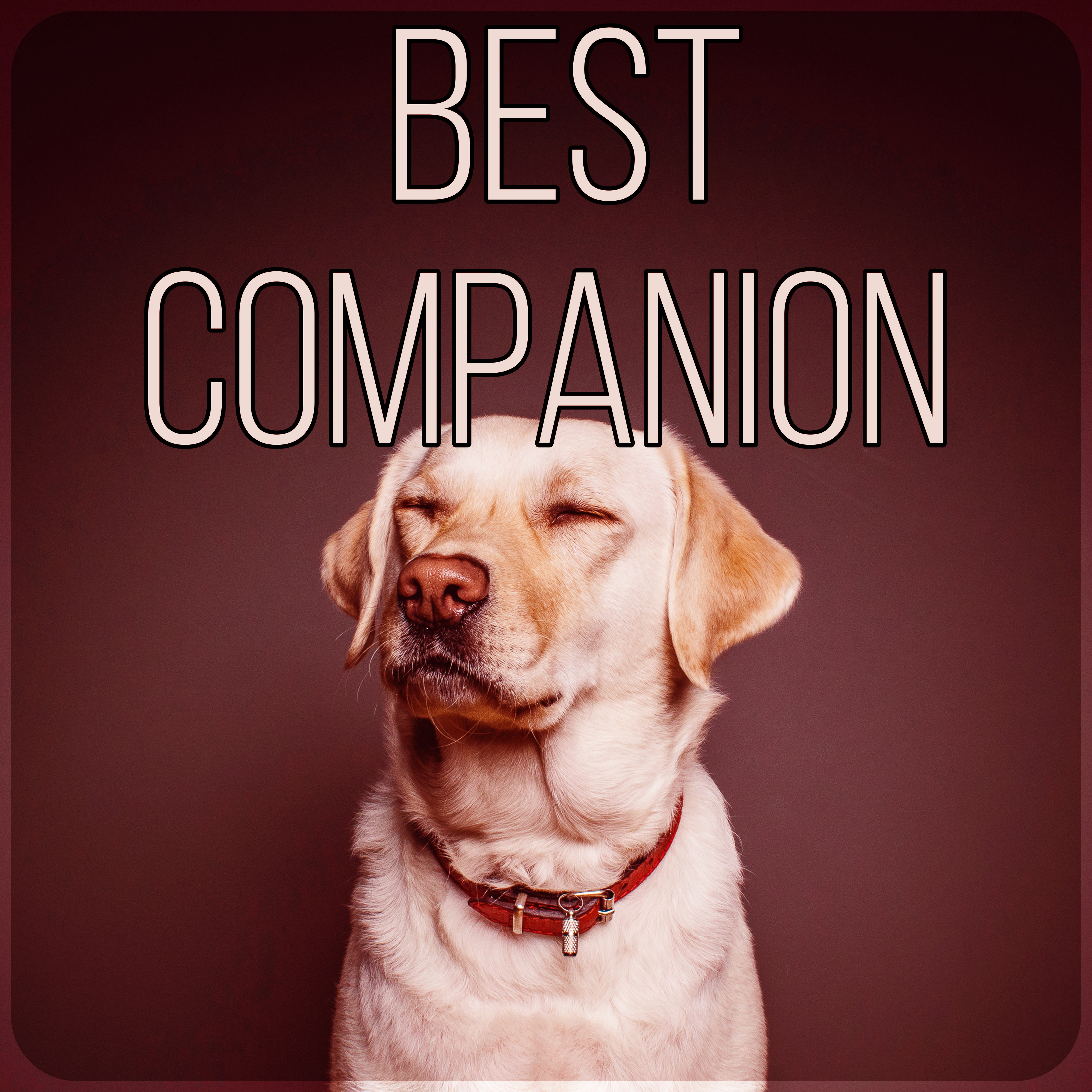 Best Companion - Calm Down Your Animal Companion, Soothing Nature Sounds for Puppies & Cats