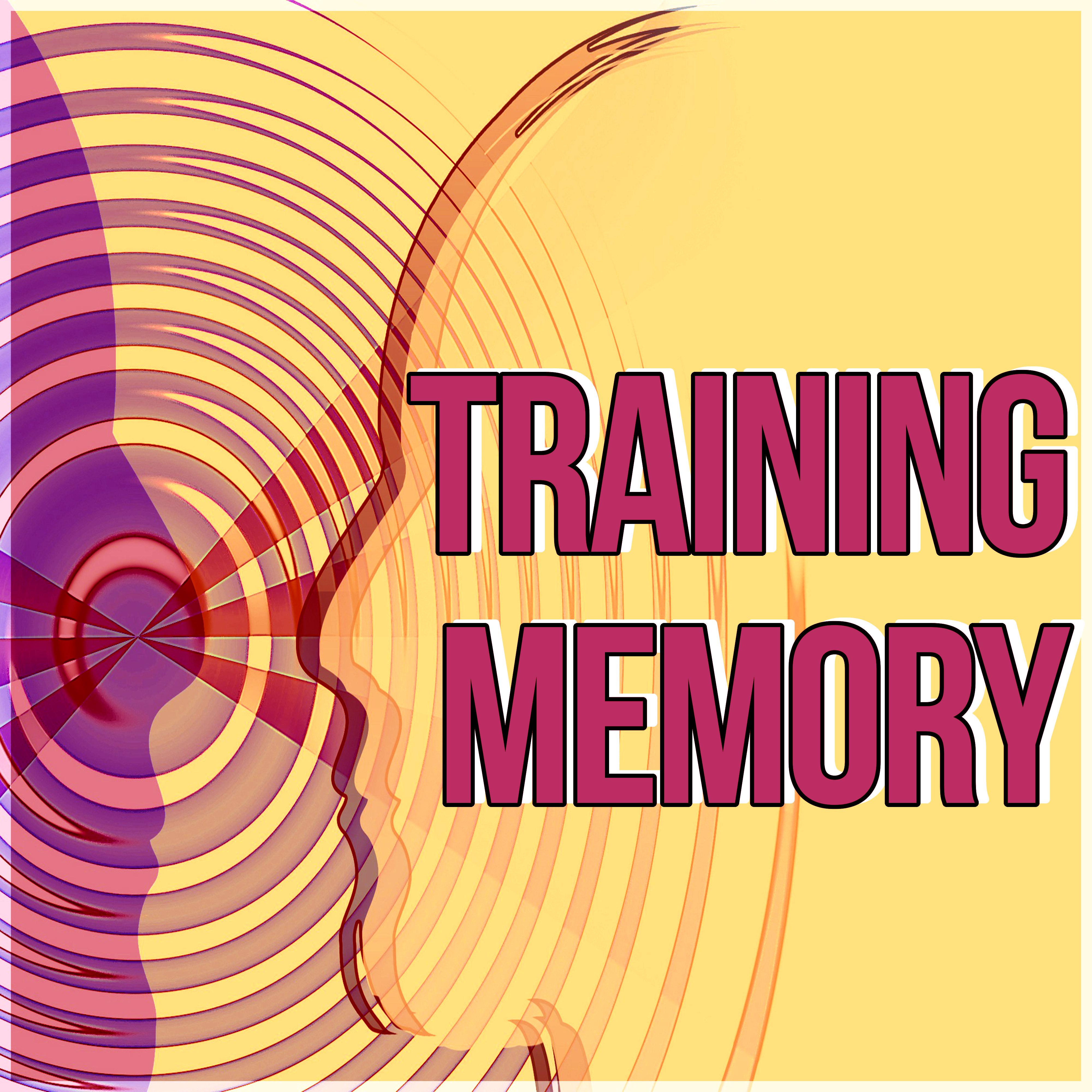 Training Memory - Meditation and Focus on Learning, Concentration Music and Study Music for Your Brain Power