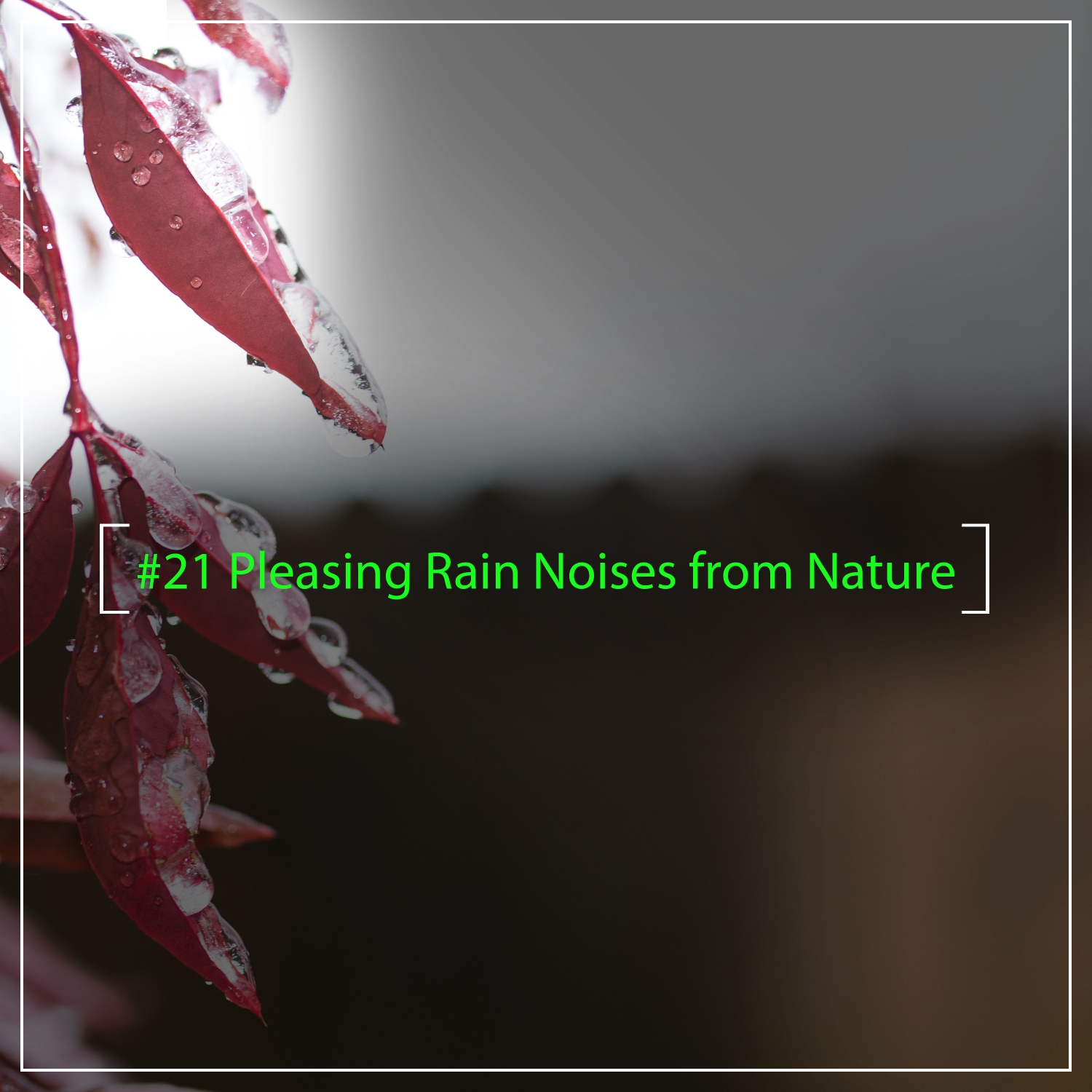 #21 Pleasing Rain Noises from Nature