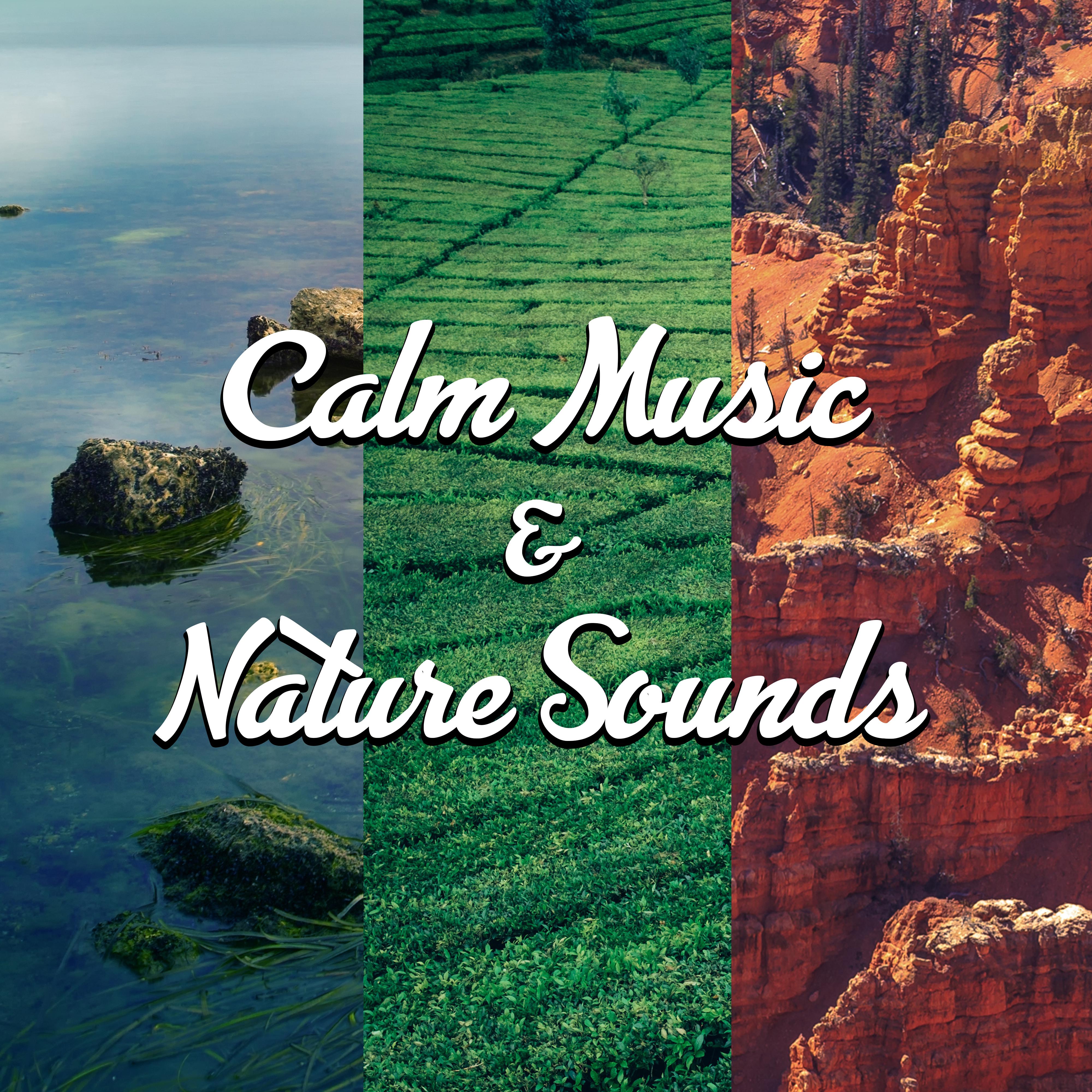 Calm Music & Nature Sounds – Relaxing Music, New Age Sounds, Time to Rest, Chilled Music