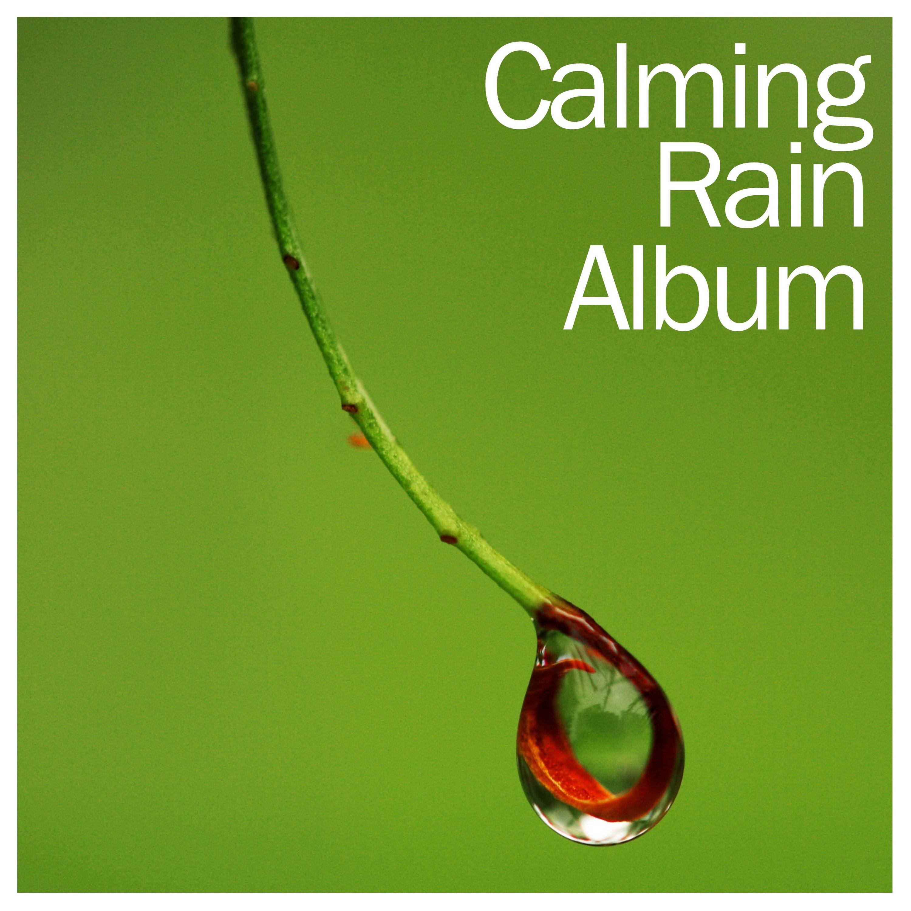 18 New Calming Rain Sounds