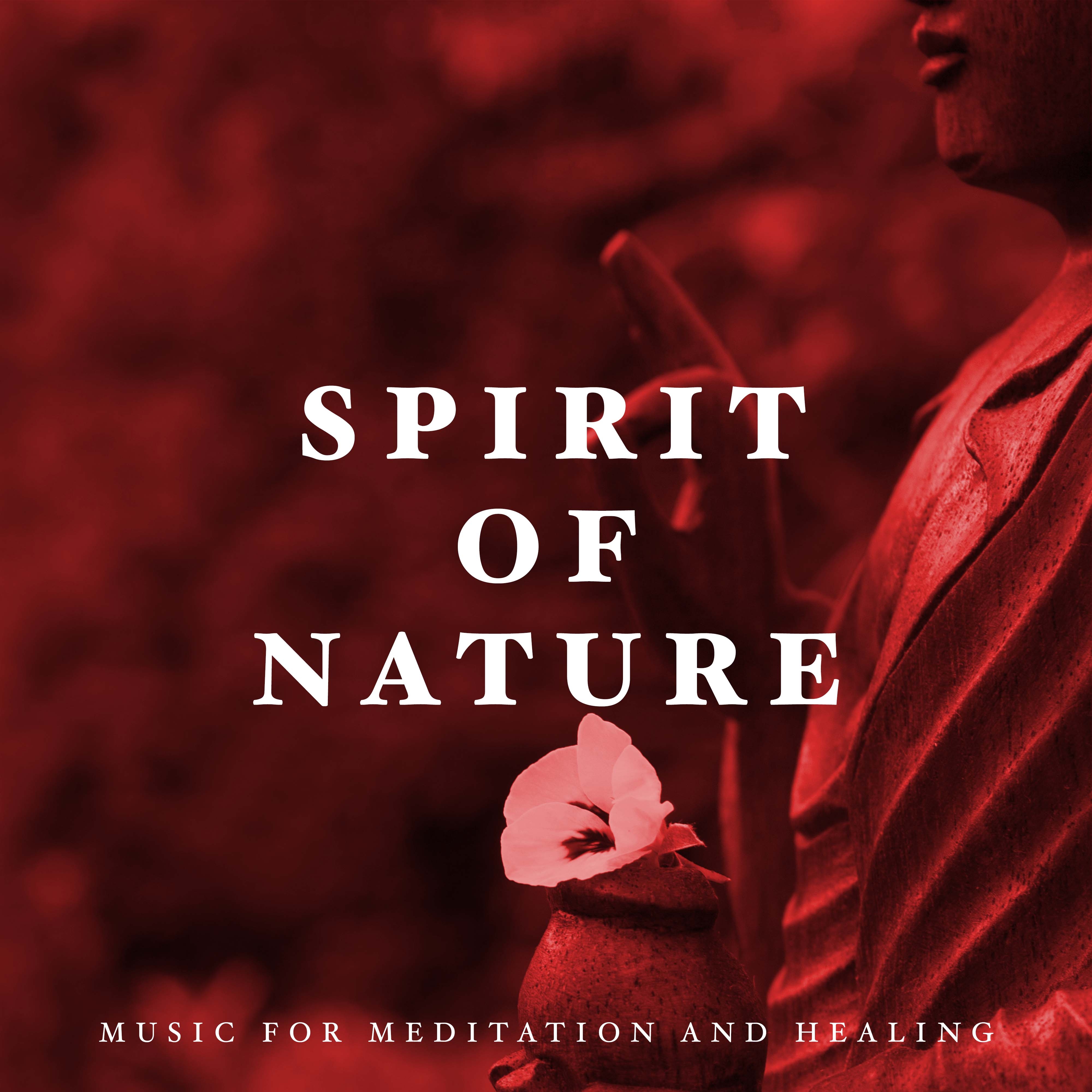 Spirit of Nature - Ideal Music for Meditation and Healing