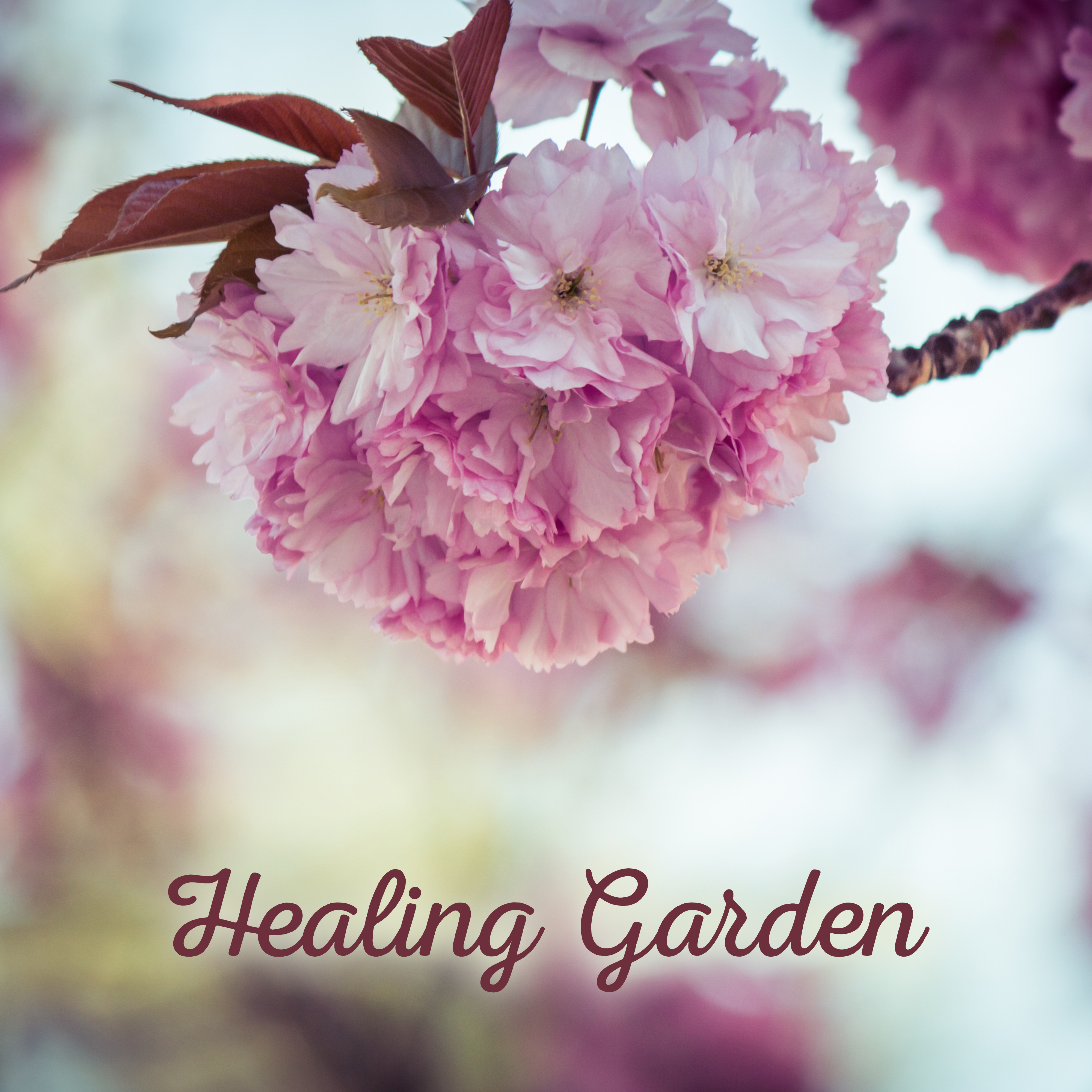 Healing Garden – Calming Relaxation Music for Massage, Rest, Peaceful New Age Sounds, Full of Nature, Falling Water, Birds Songs