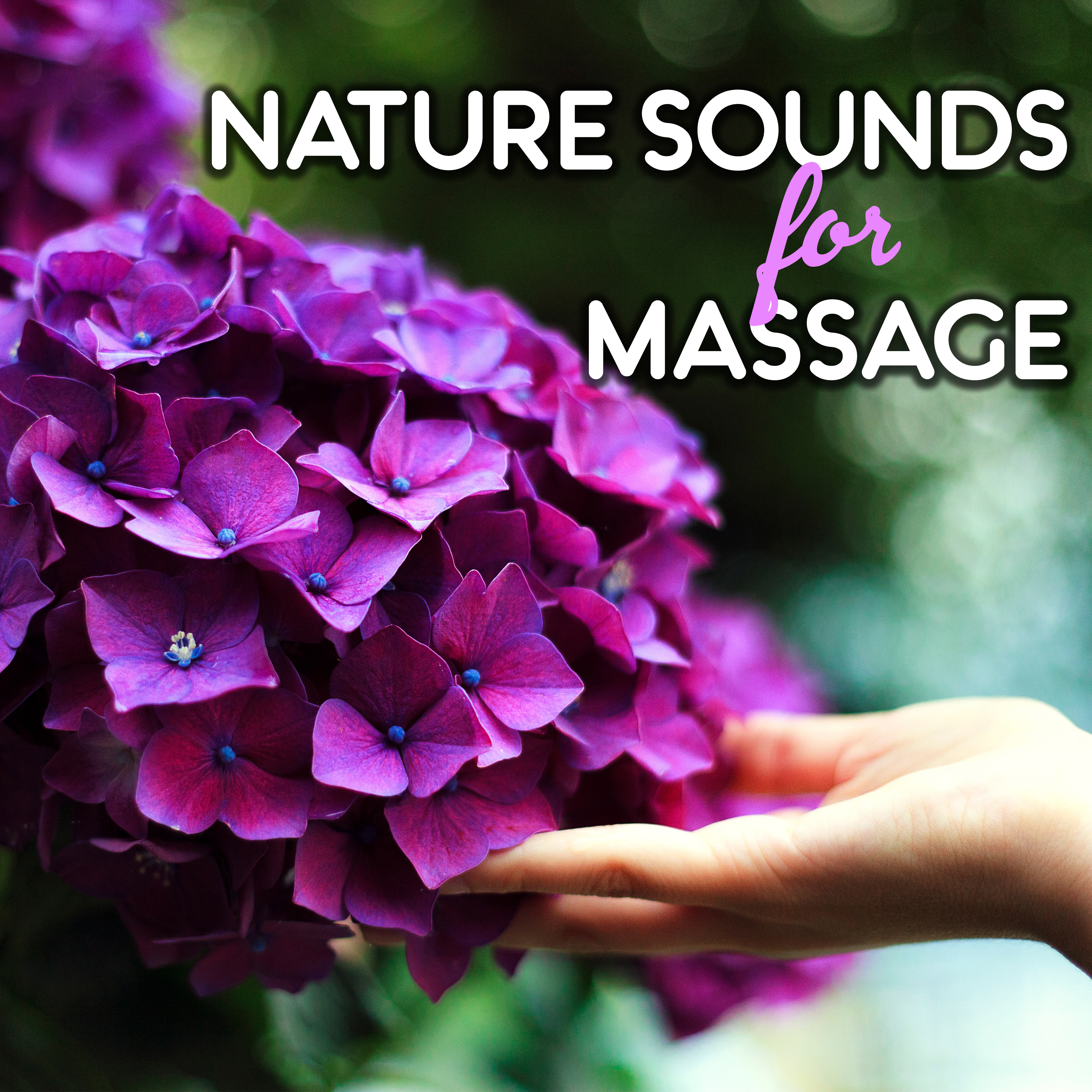 Nature Sounds for Massage – Soft Sounds for Spa, Relaxing Massage, Stress Free, Spirit Calmness