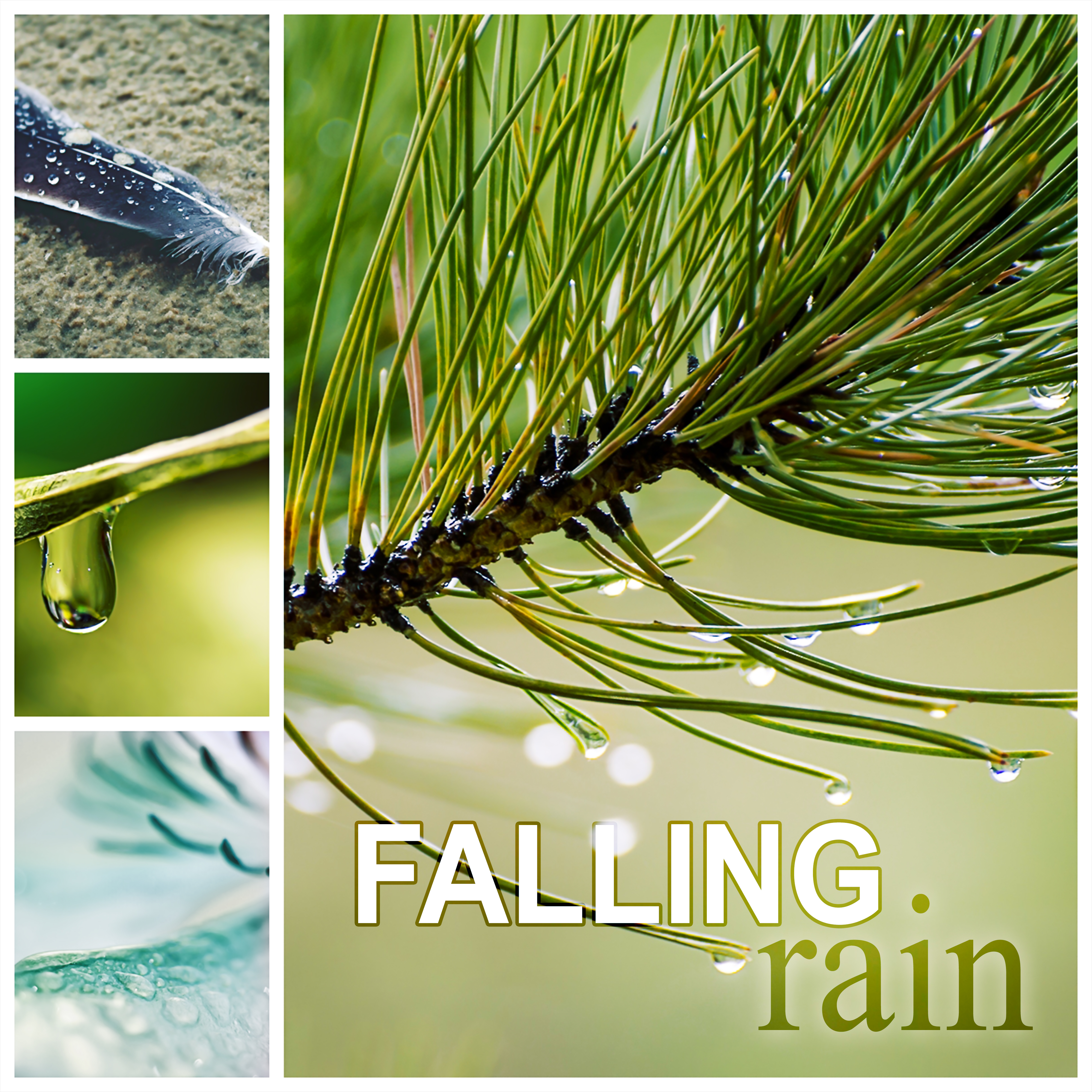 Falling Rain – White Noise for Deep Sleep, Relaxing Nature Sounds to Calm Down, Yoga & Meditation, Natural Sleep Aids, Rain Sounds