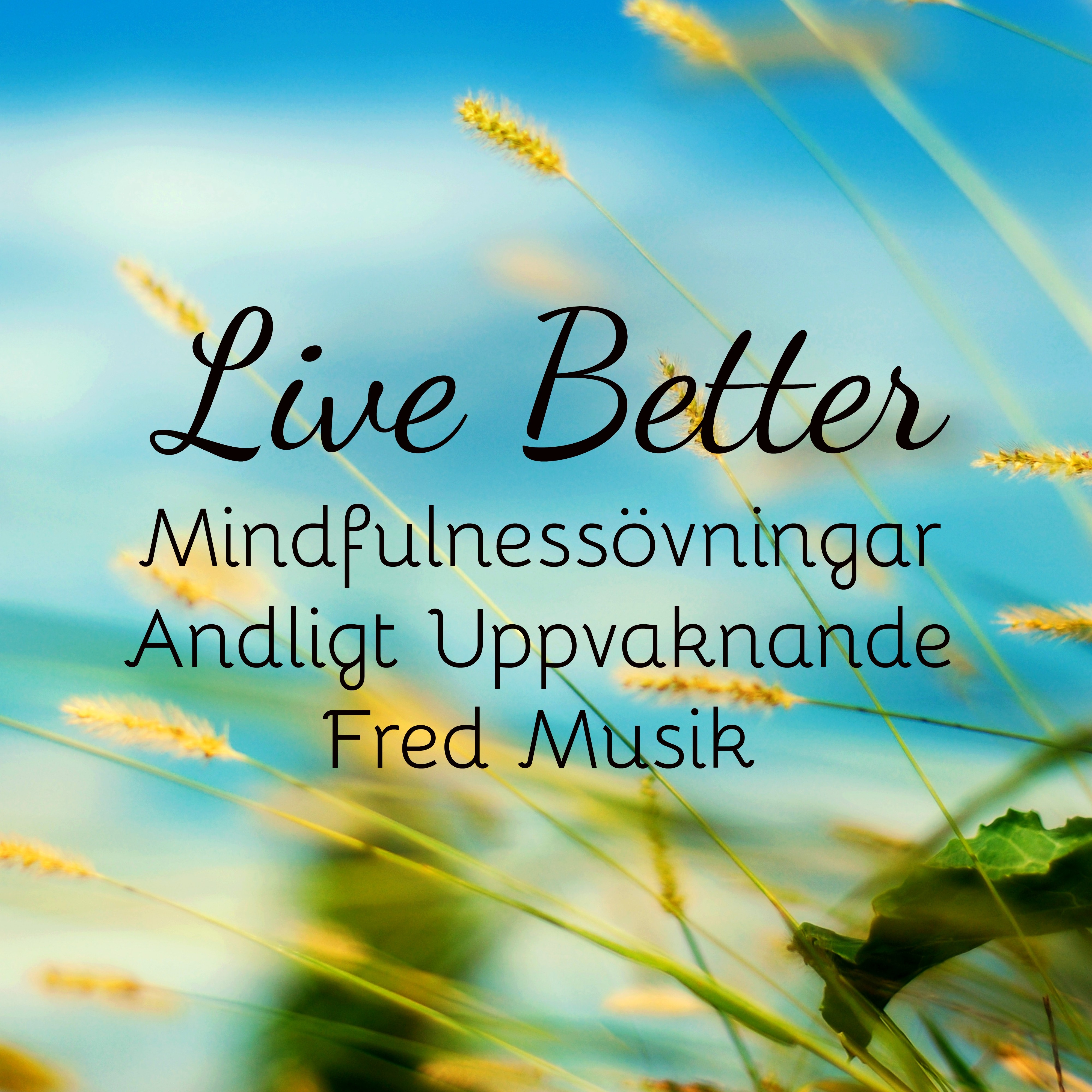 Live Better - Fred Mindfulnessövningar Andligt Uppvaknande Musik för Vägledd Meditation Chakra Alignment