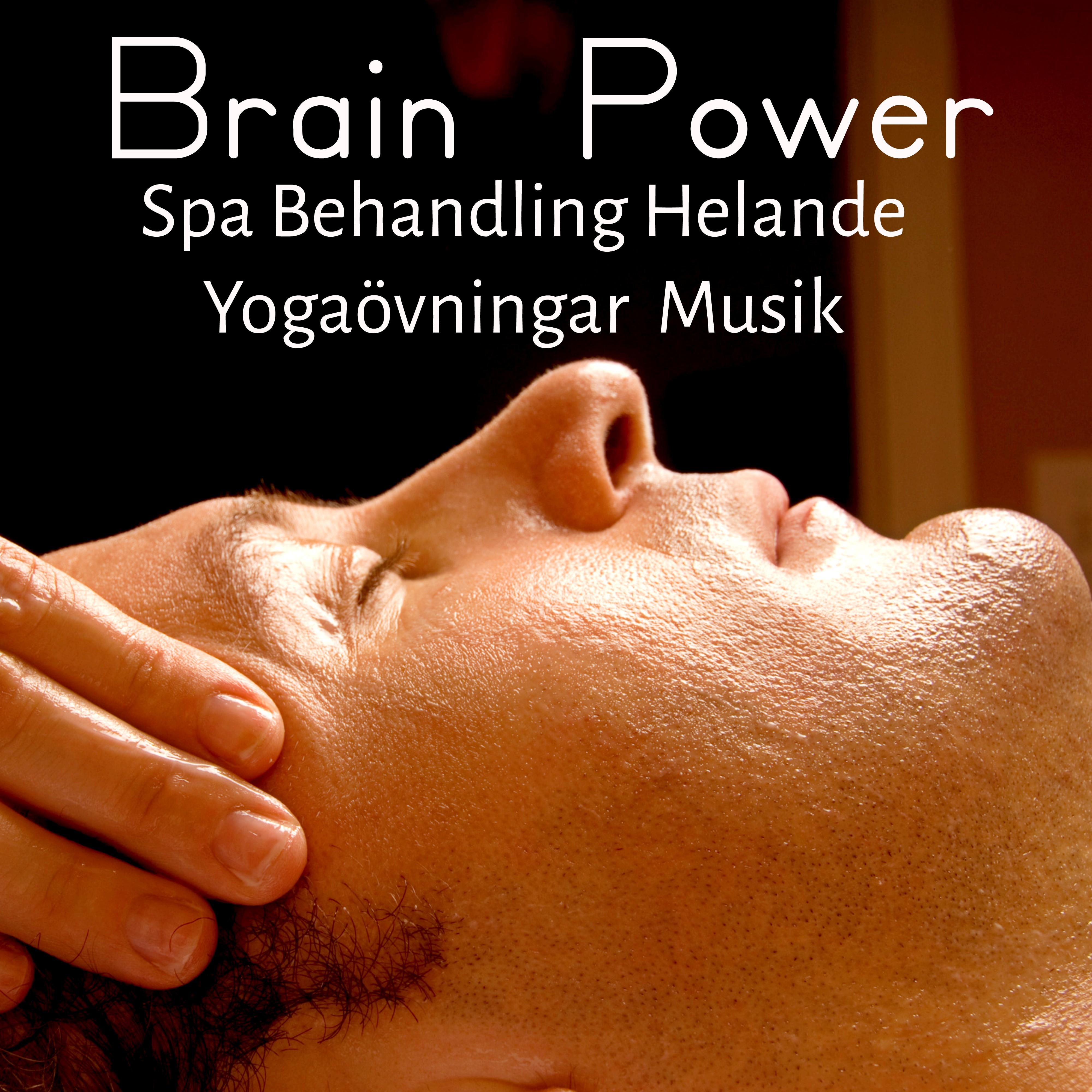 Brain Power - Spa Behandling Yogaövningar Helande Musik för Djup Avslappning Chakra Terapi med Lugn Natur Instrumental Ljud