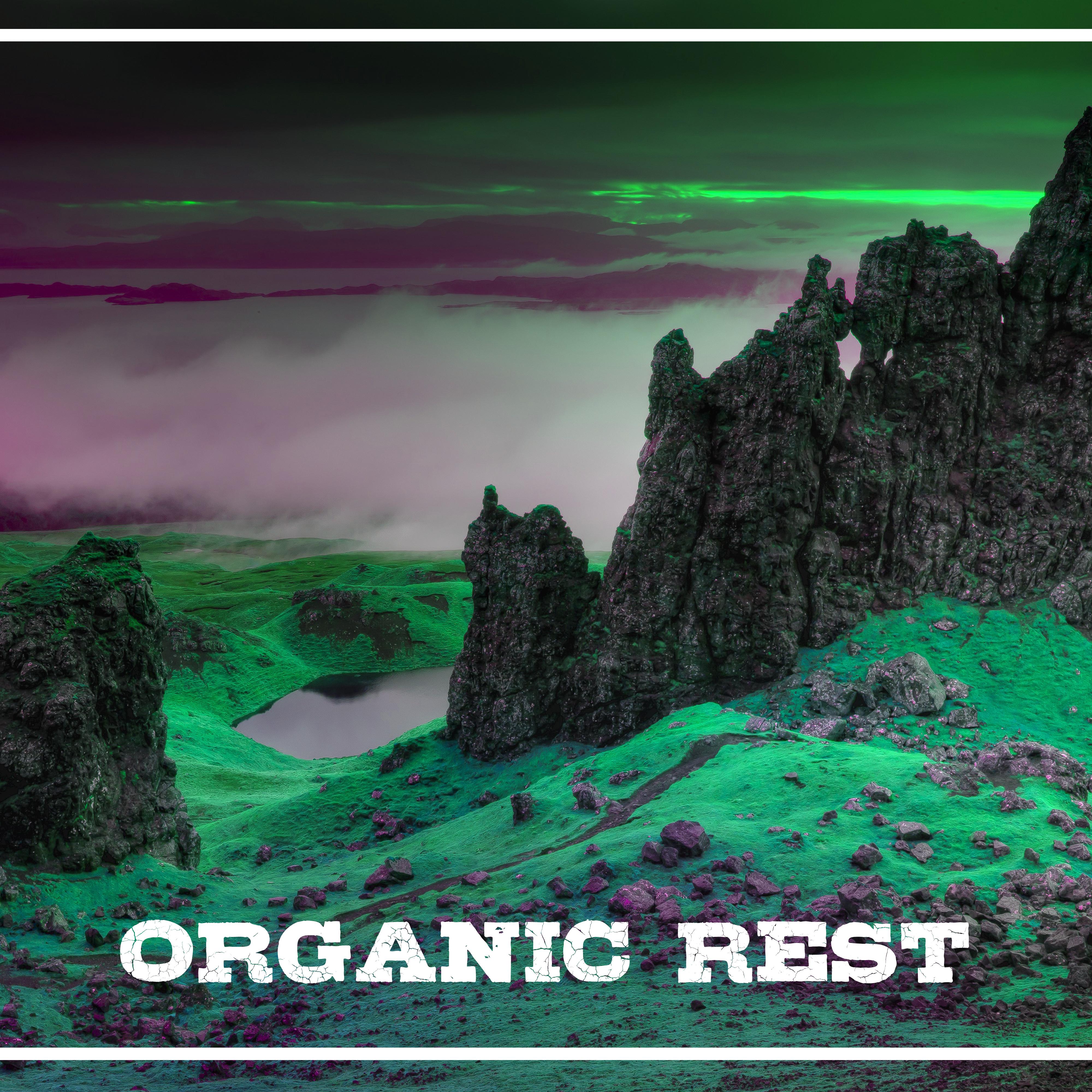 Organic Rest – Nature Sounds for Relaxation, Sea Waves, Spring Rain, Singing Birds, Restful Noise