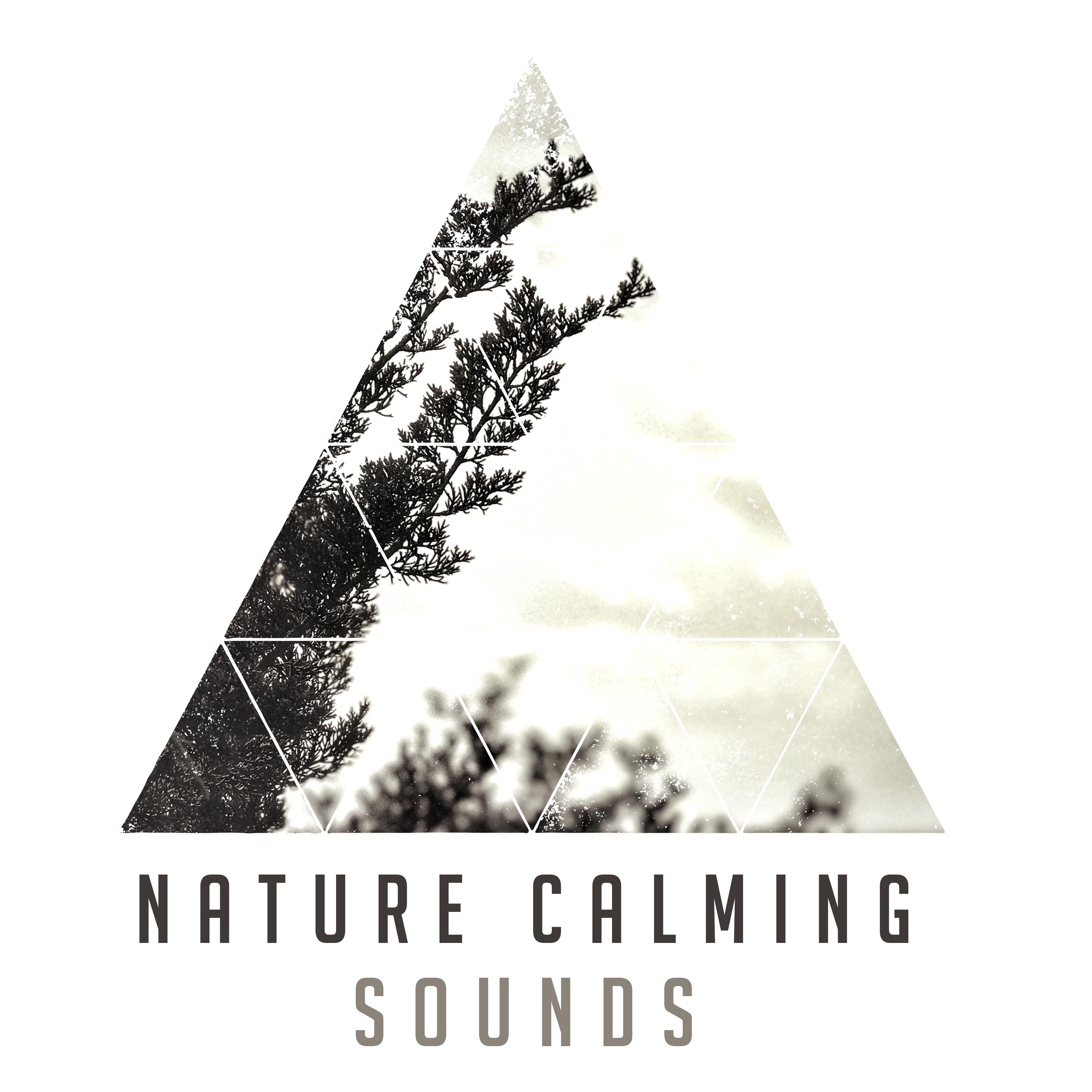 Nature Calming Sounds – Soothing Waves of Calmness, Peaceful Spirit, Nature Sounds
