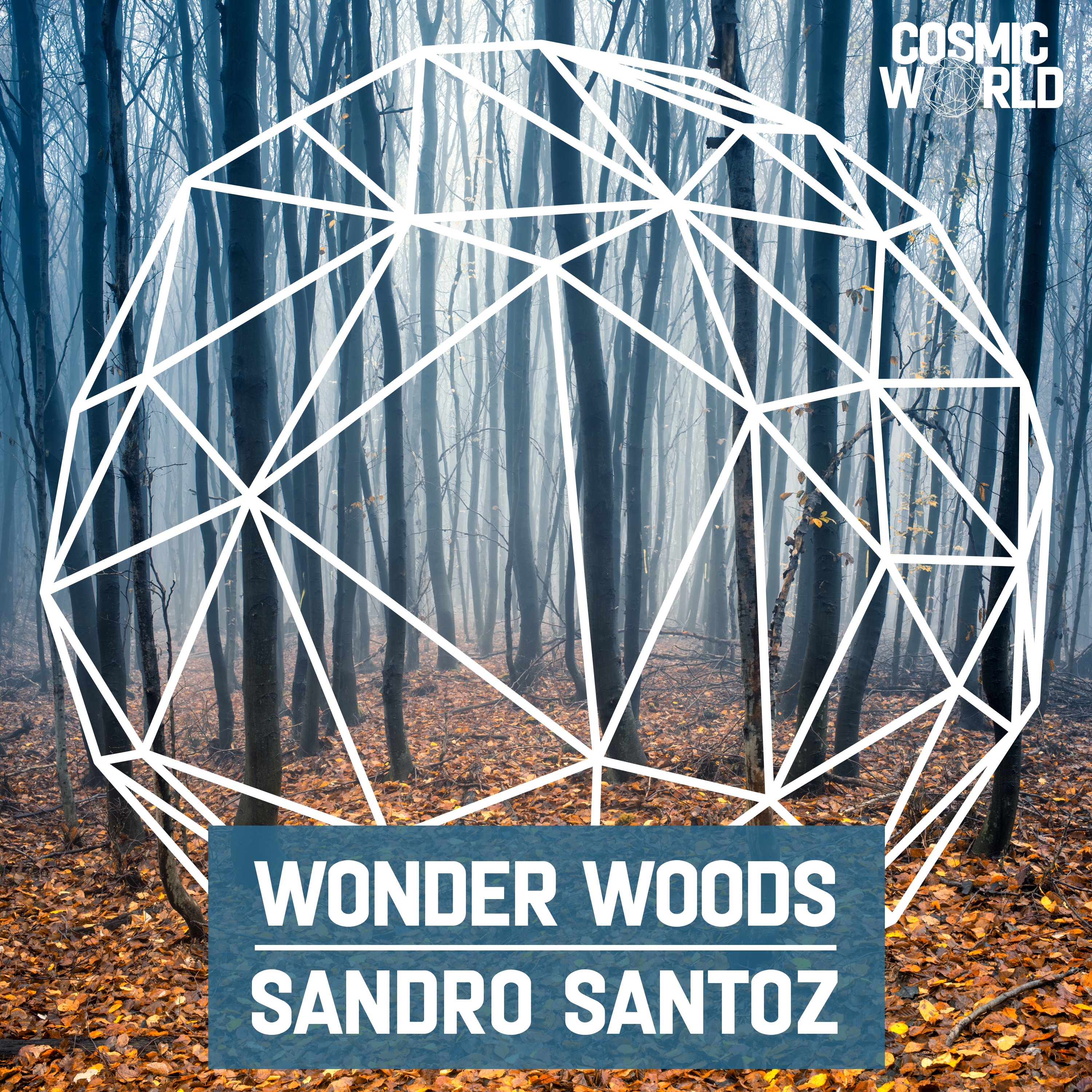 Wonder Woods