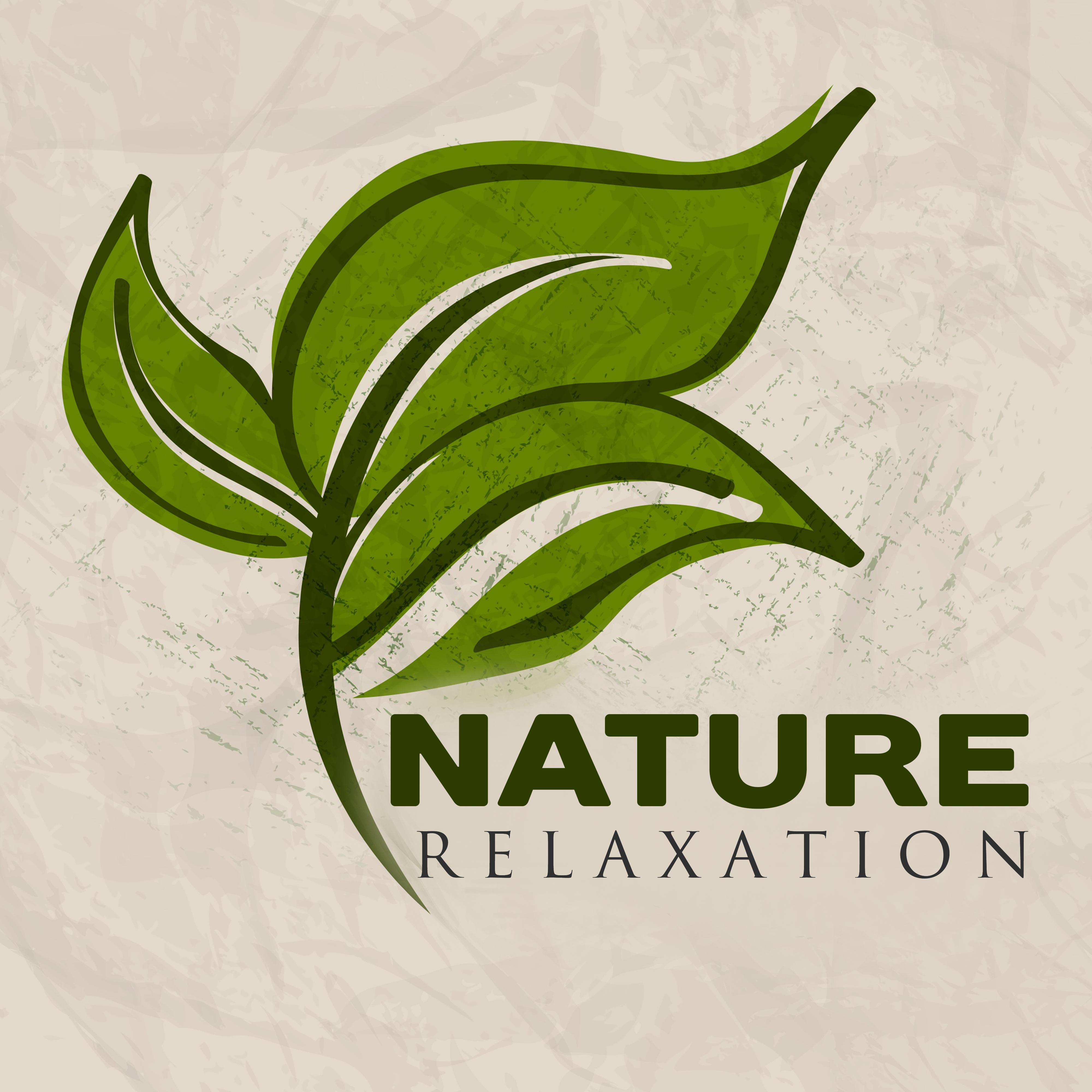 Nature Relaxation – Music to Calm Down, Soft Sounds of Nature, Walk in the Forest