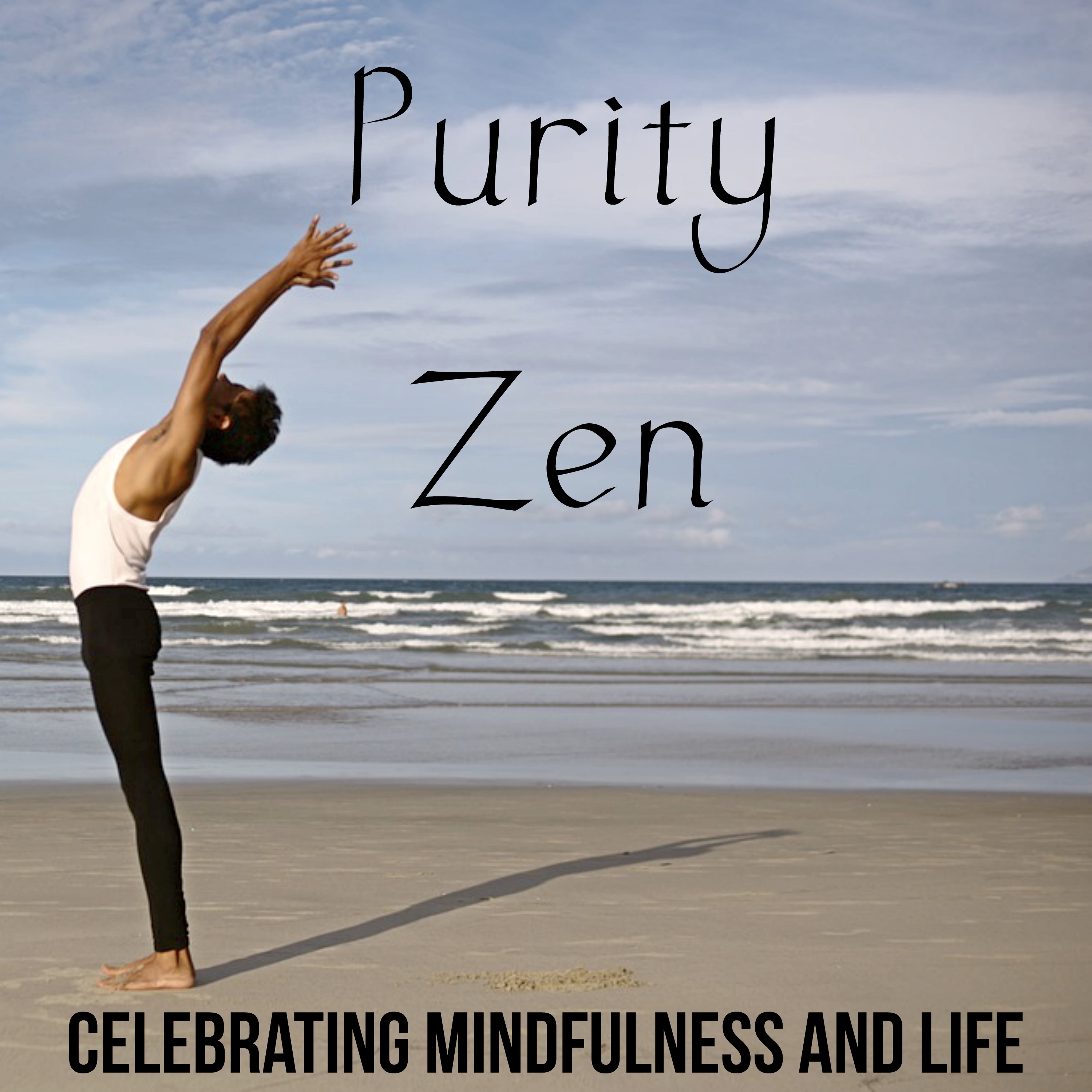 Purity Zen: Celebrating Mindfulness and Life With the Best New Age Music