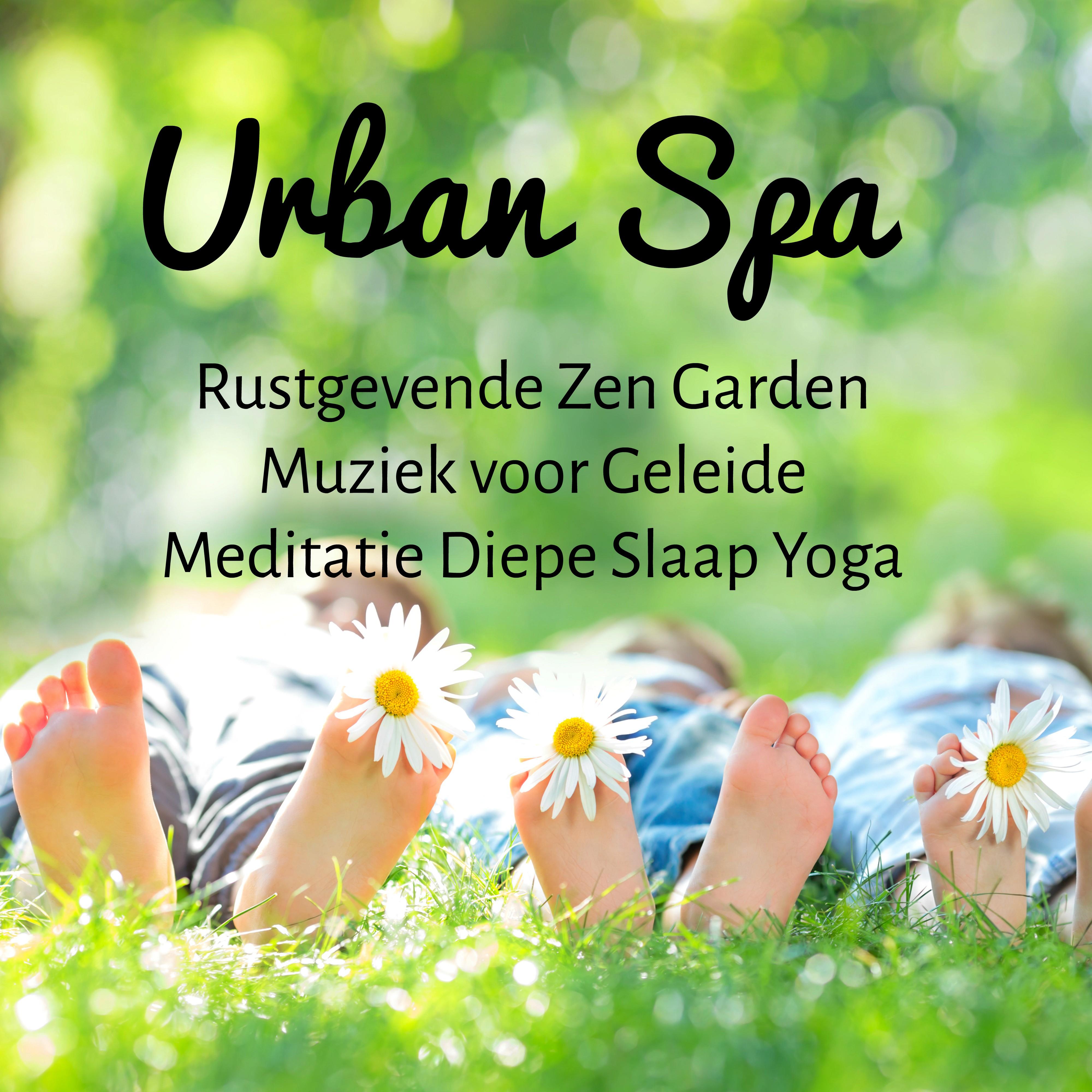 Urban Spa - Rustgevende Zen Garden Muziek voor Geleide Meditatie Diepe Slaap Yoga met Natuur Instrumentale New Age Easy Listening Geluiden