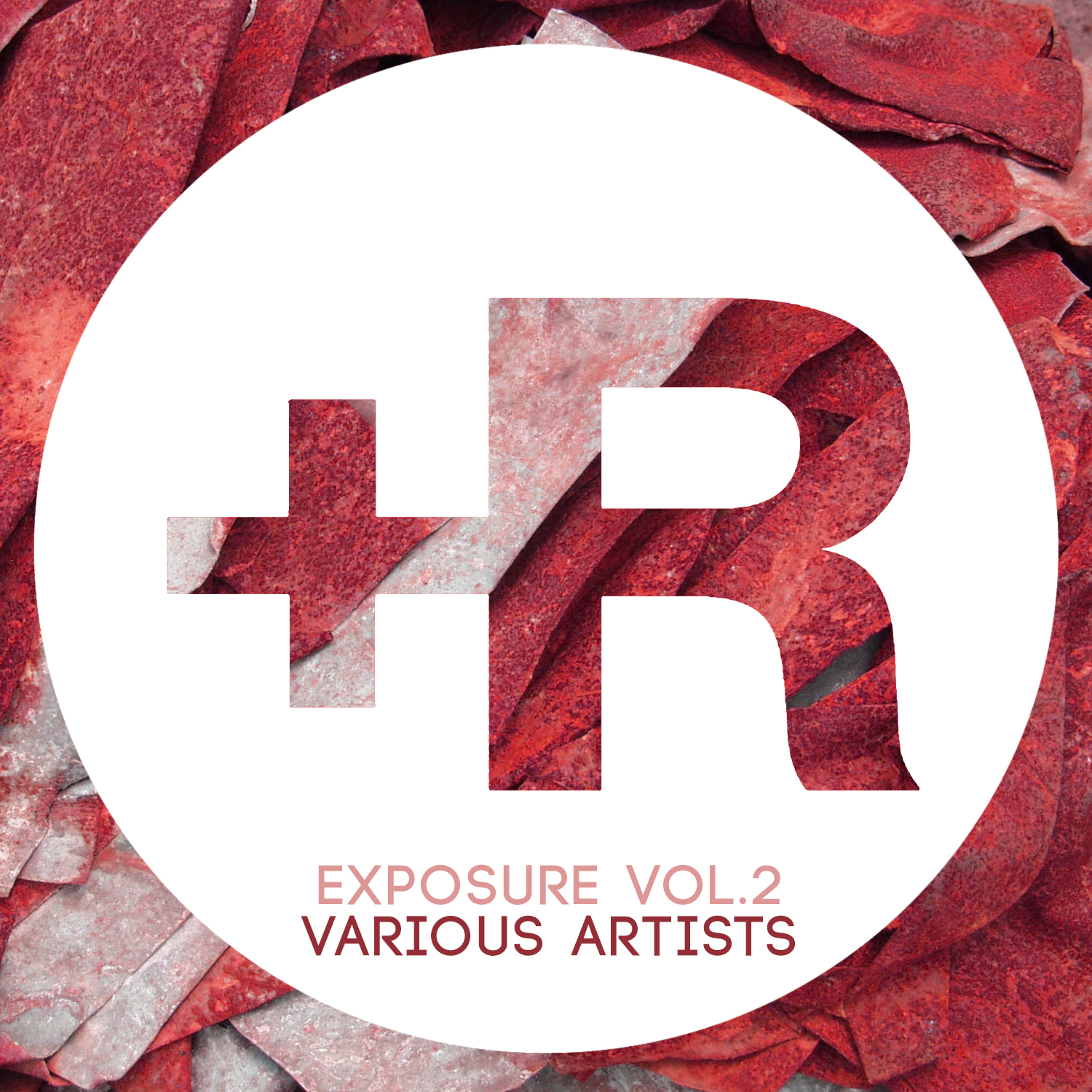 Exposure, Vol.2