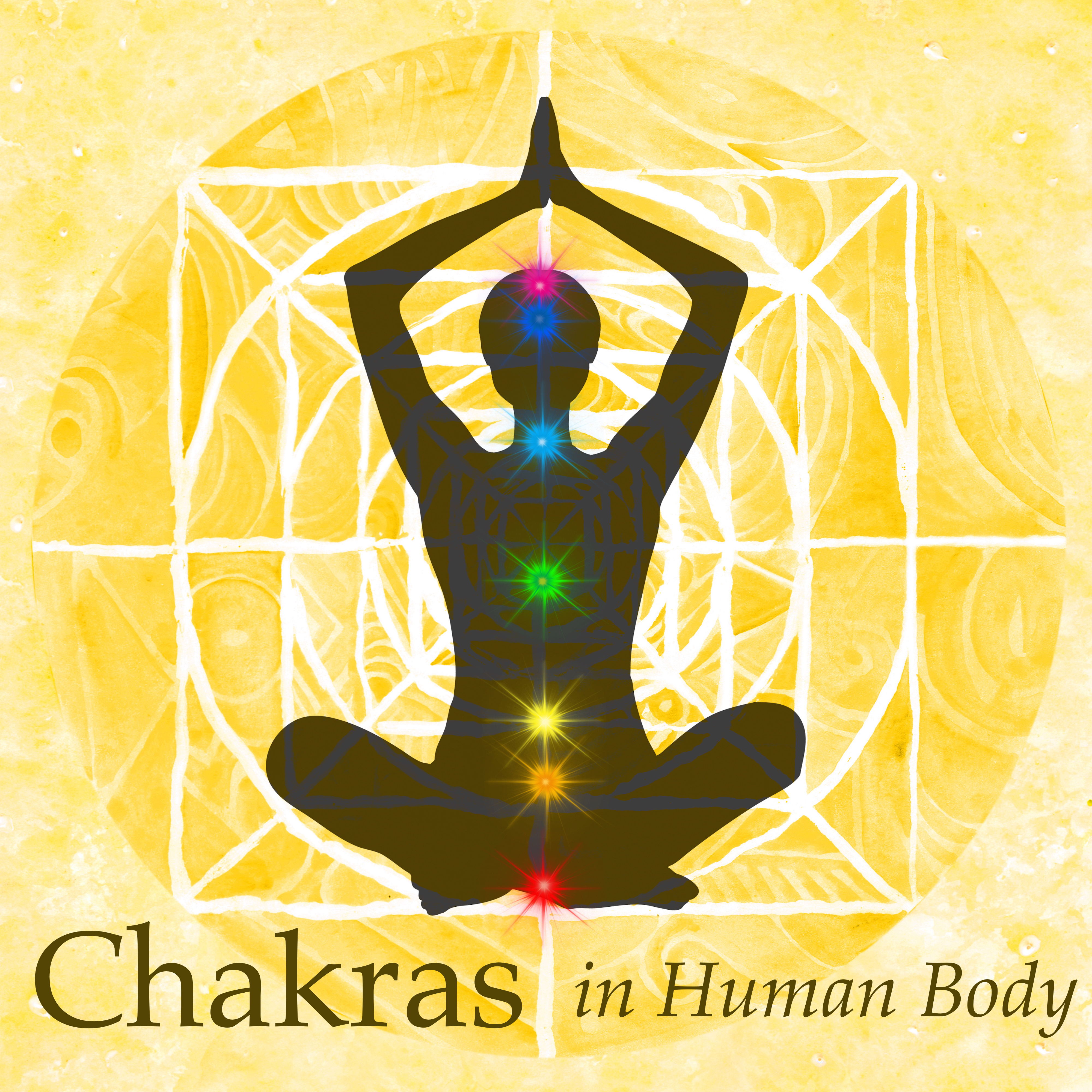 Chakras in Human Body - Deep Meditation Music