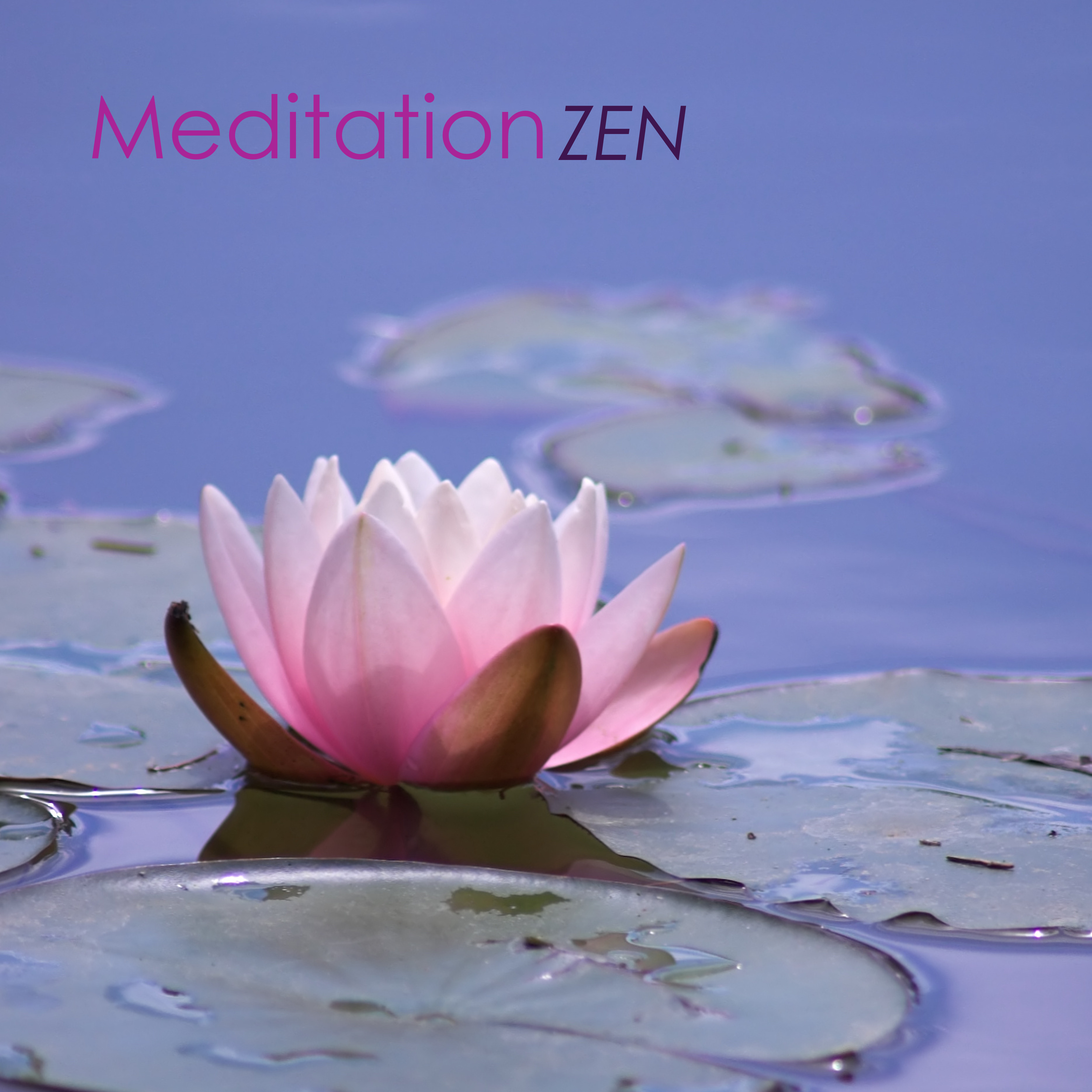 Meditation Zen - Yoga Meditation Music & Zen Garden Songs for Relaxation and Mindfulness
