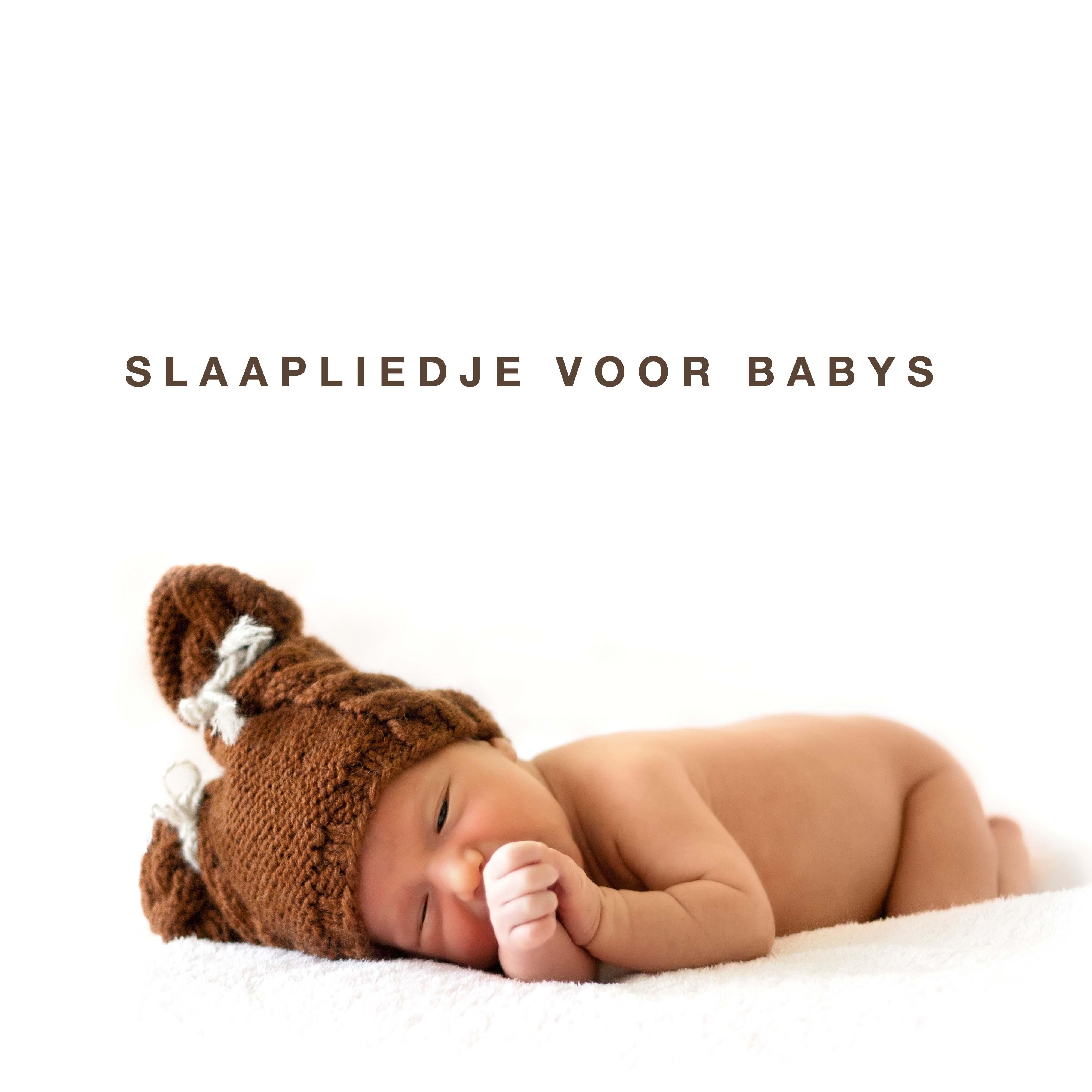 Slaapliedje voor Babys Instrumentale Slaapmuziek ♫ Rustige Baby Muziek ♫ Ontspanningsmuziek