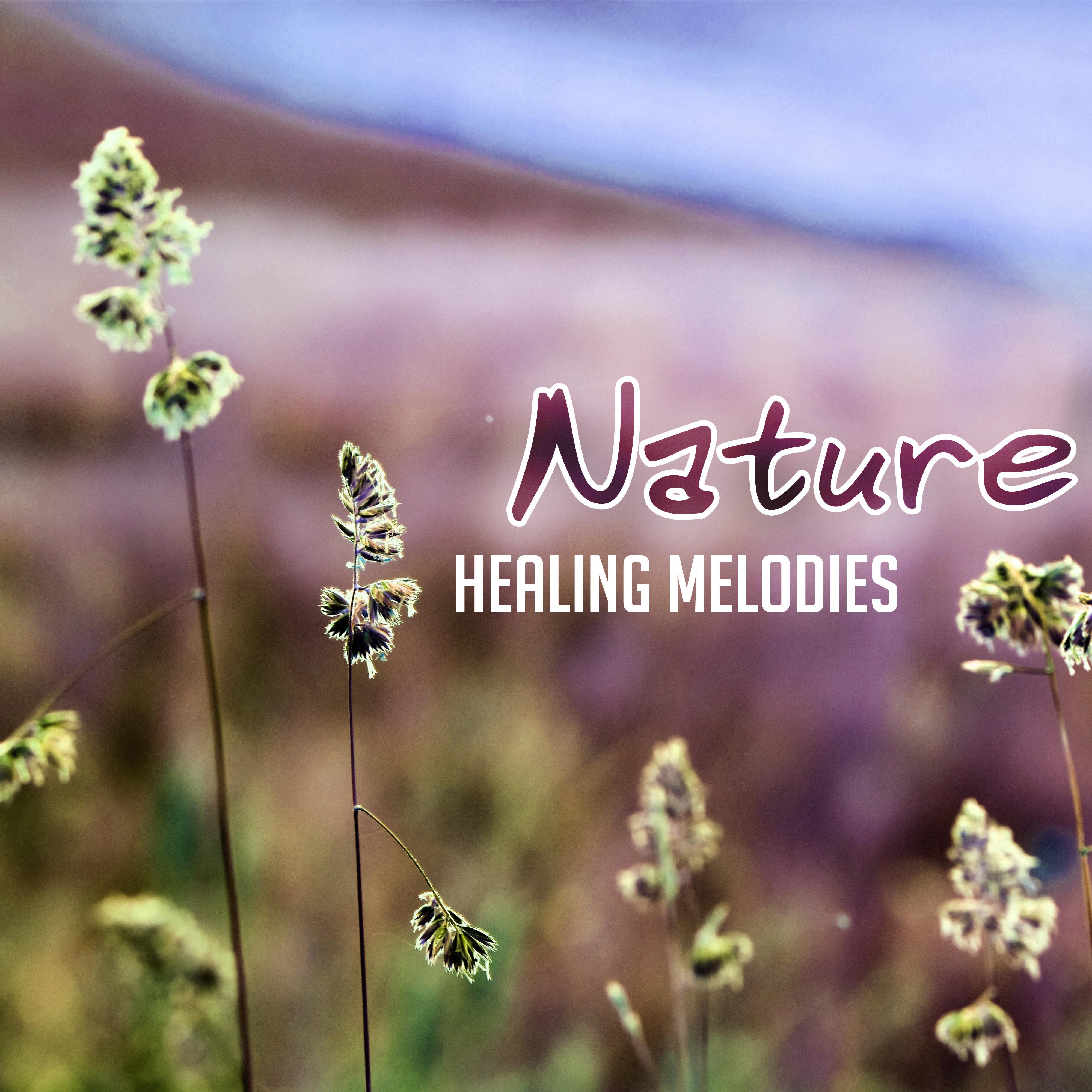 Nature Healing Melodies – Soft New Age Music, Healing Sounds for Mind & Body, Chill a Bit