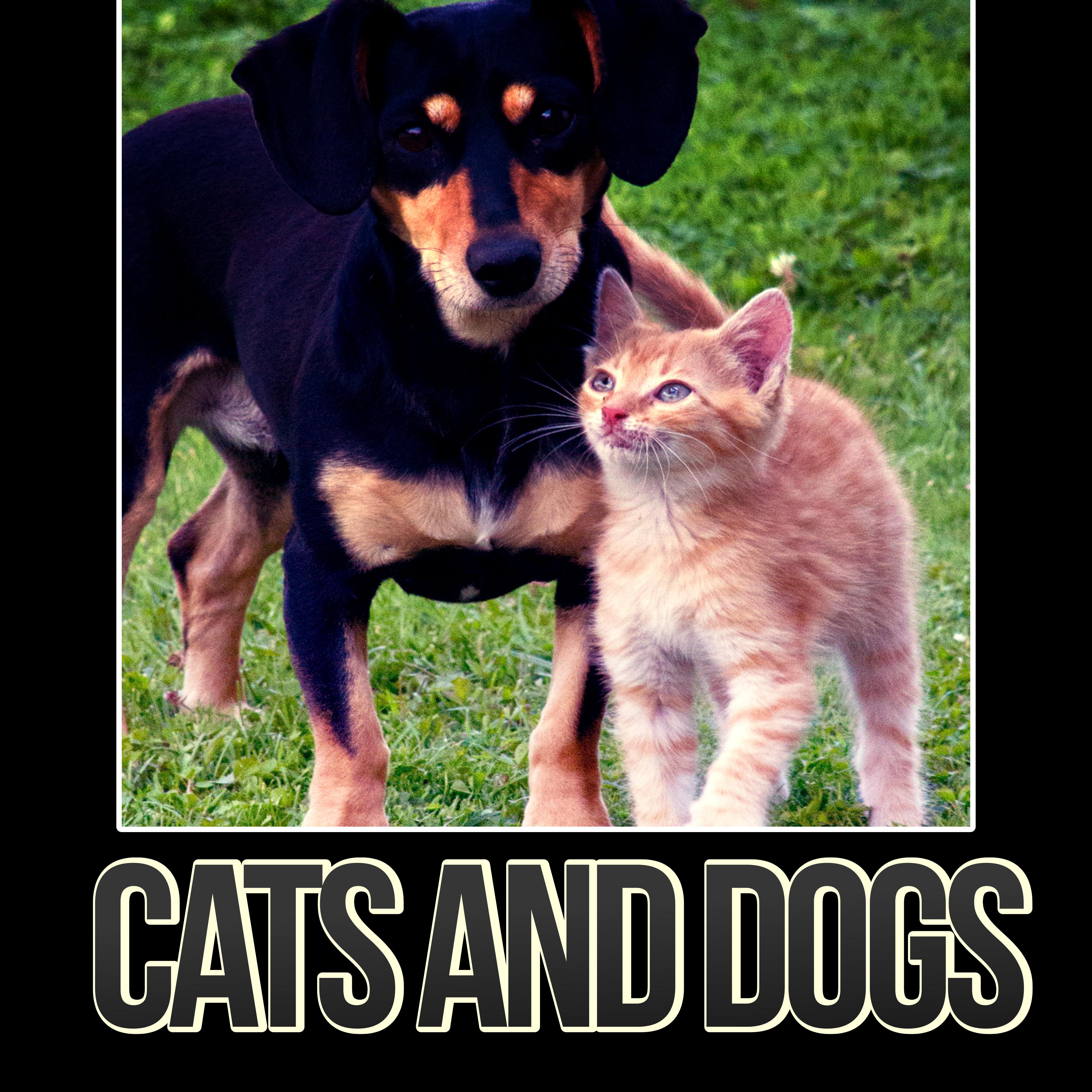 Cats and Dogs - Instrumental Mellow Music and Calming Down Nature Sounds to Relax Your Dog & Cat When They Are Alone at Home, Soft Melodies for Puppies & Kittens That Will Keep Them Company