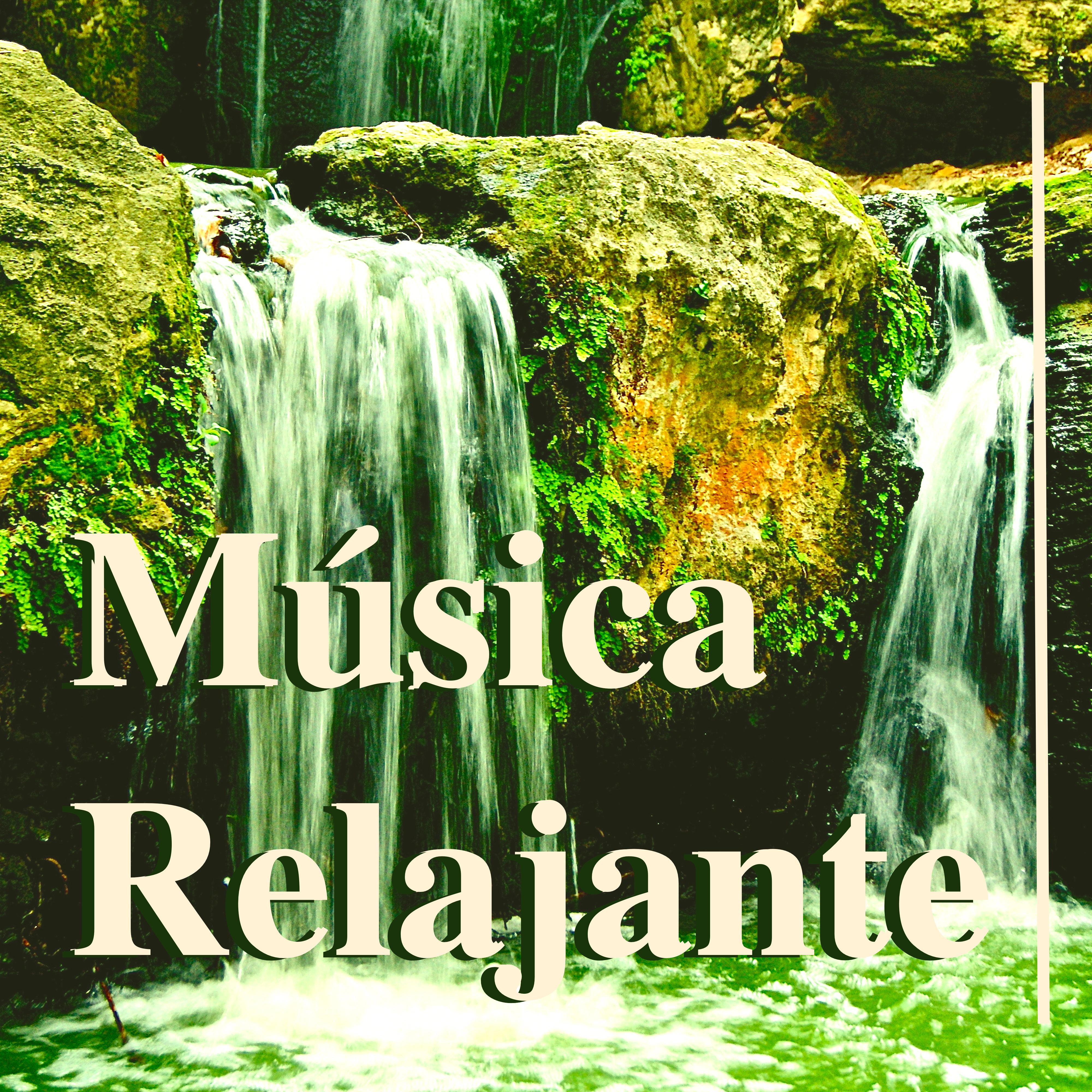 Música Relajante – Sonidos de la Naturaleza, Música de Relajaciòn para Escuchar, Música Yoga, Música Reiki, Meditaciòn y Música de Relajaciòn para Niños