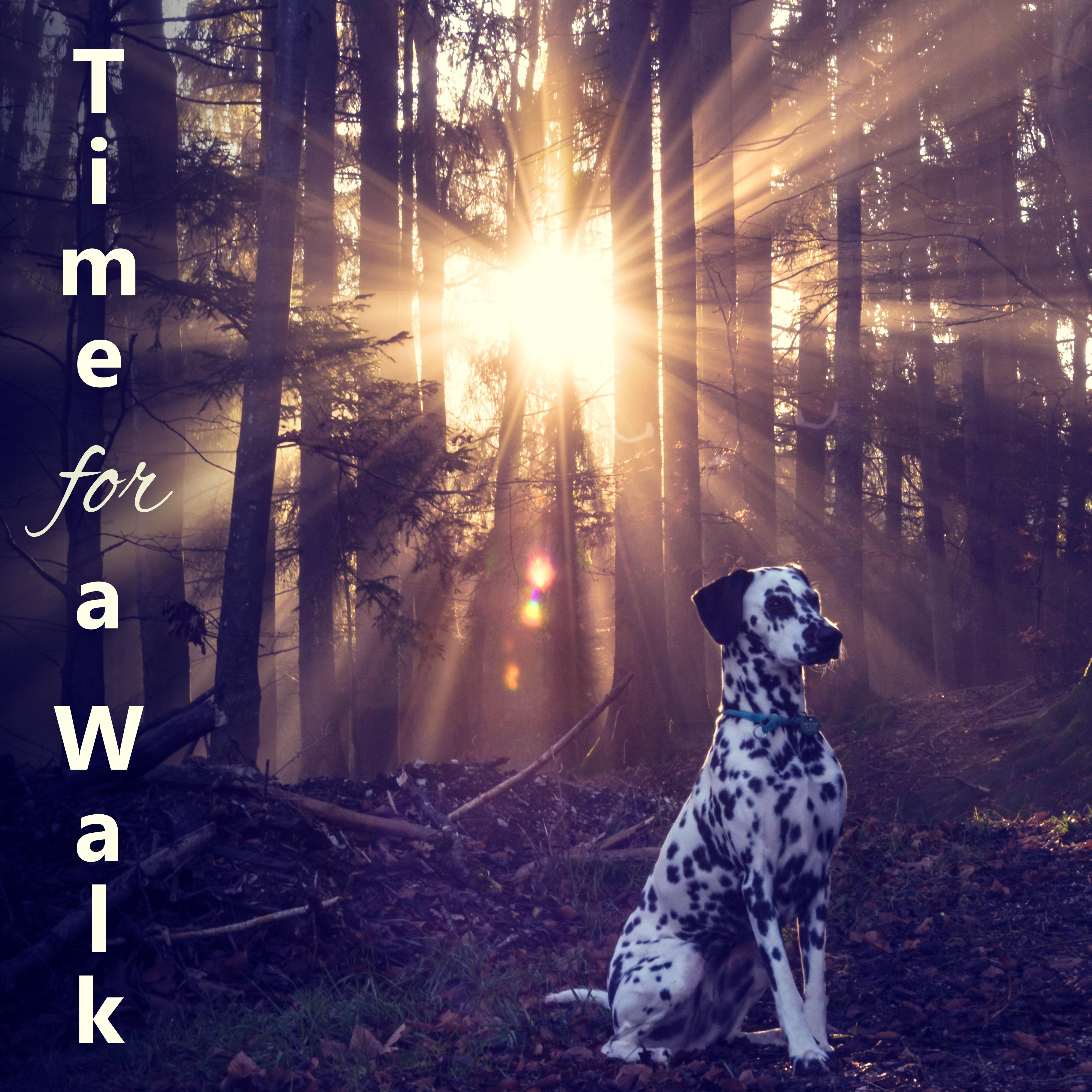 Time for a Walk - Calming Music to Relax and Calm Down Your Dog, Pet Relaxation, Stress Relief