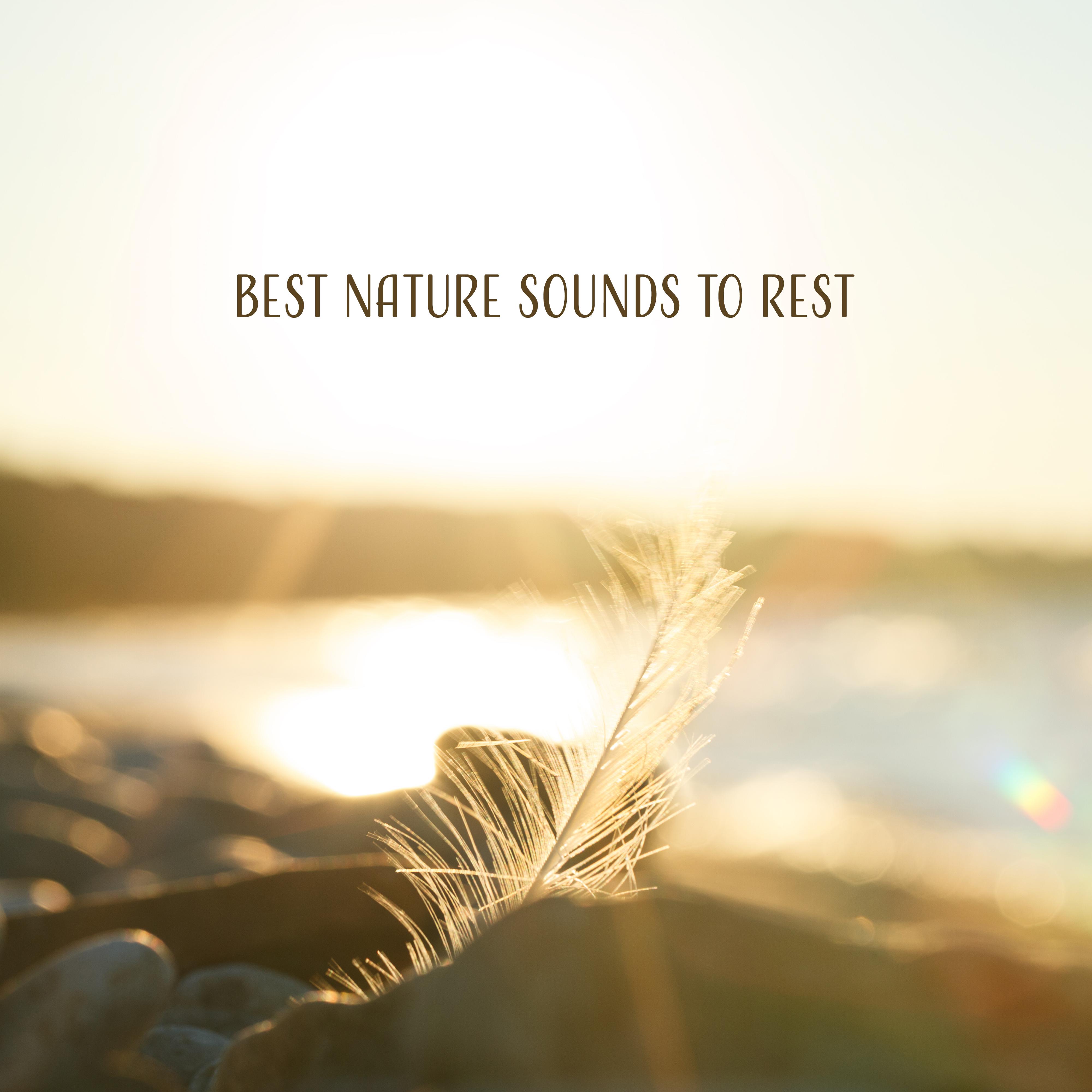 Best Nature Sounds to Rest – Pure Relaxation, Sounds of Forest, Deep Meditation, Peaceful Waves