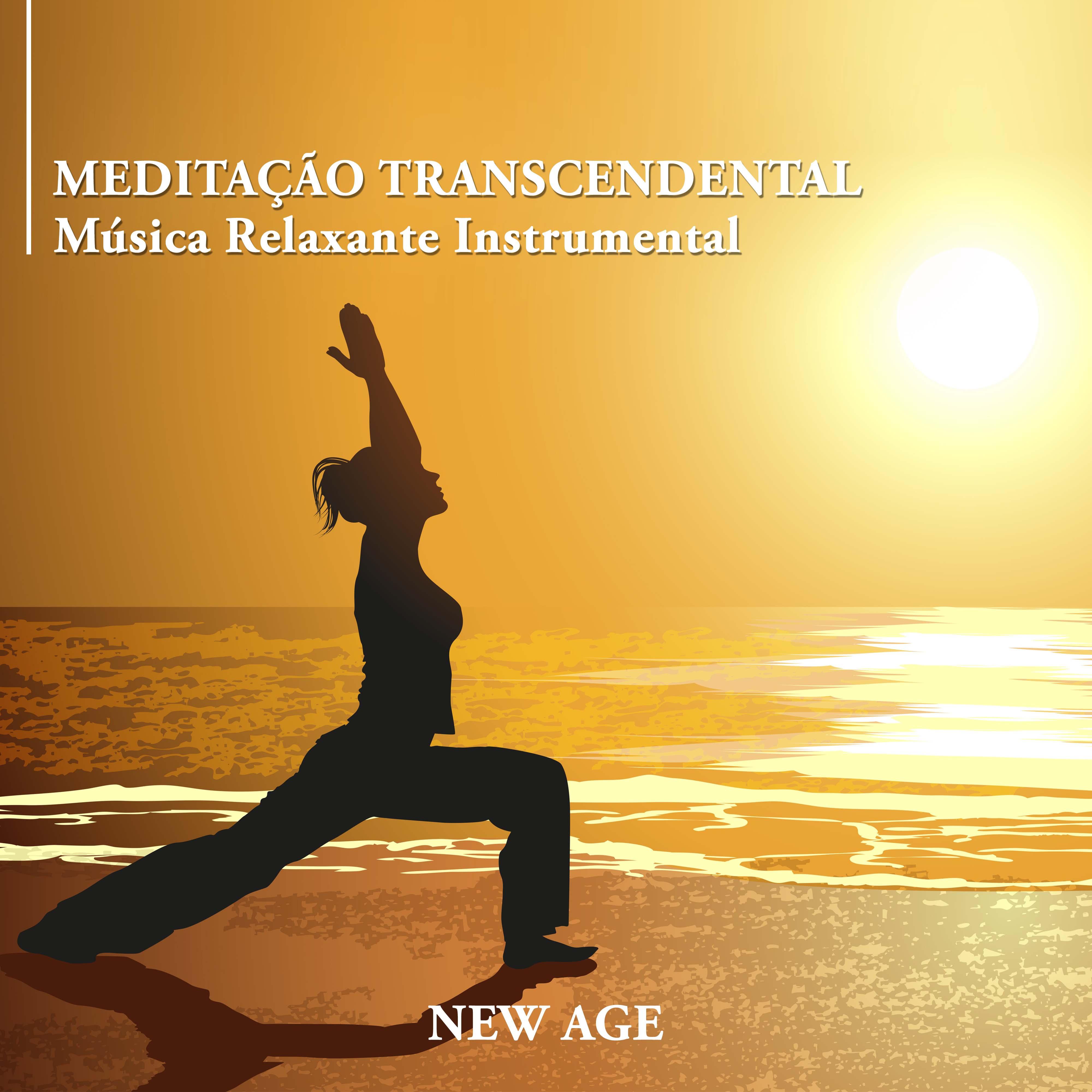 Meditação Transcendental - Relaxamento para Meditar com Música Relaxante Instrumental