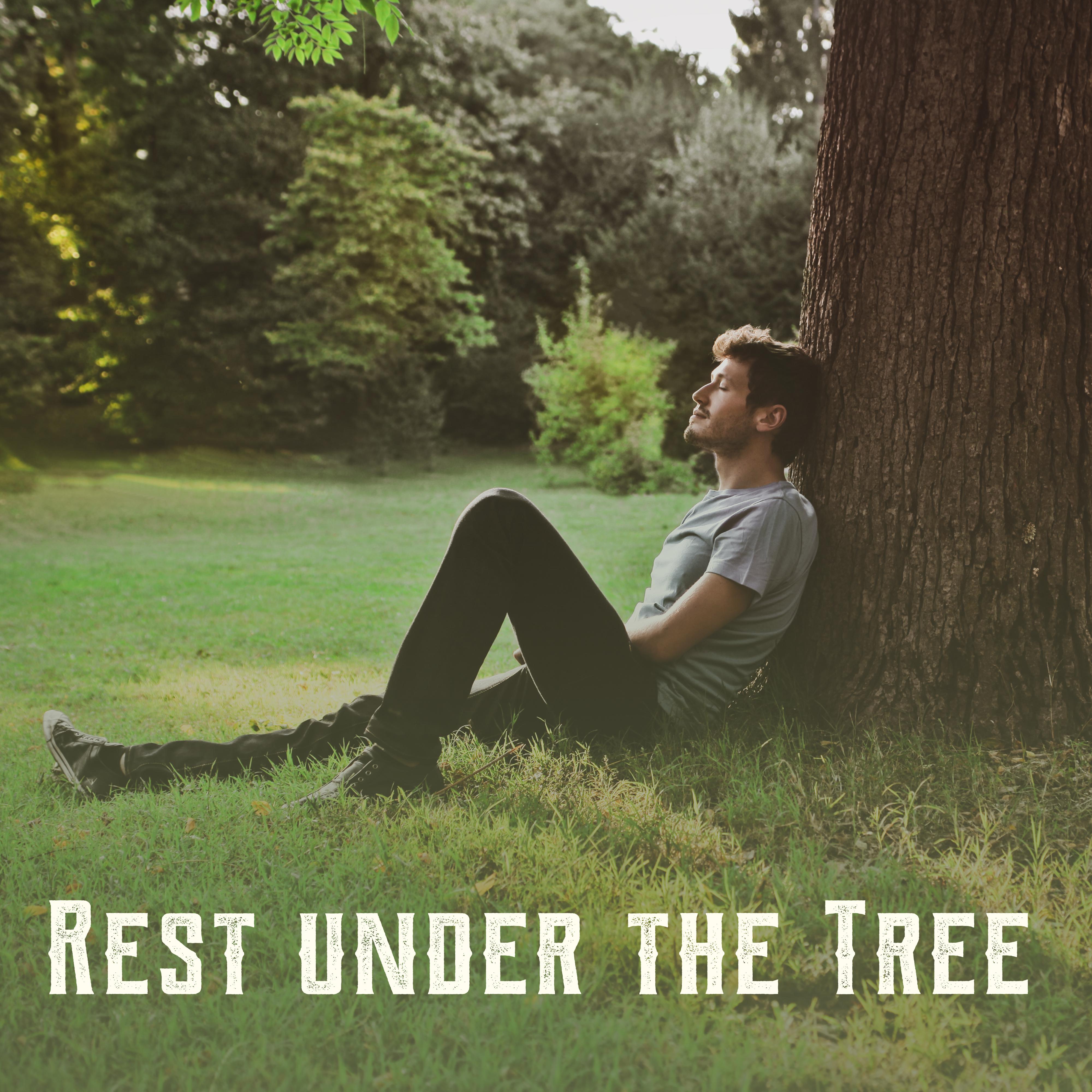 Rest under the Tree: Beautiful New Age Music with Birds Singing