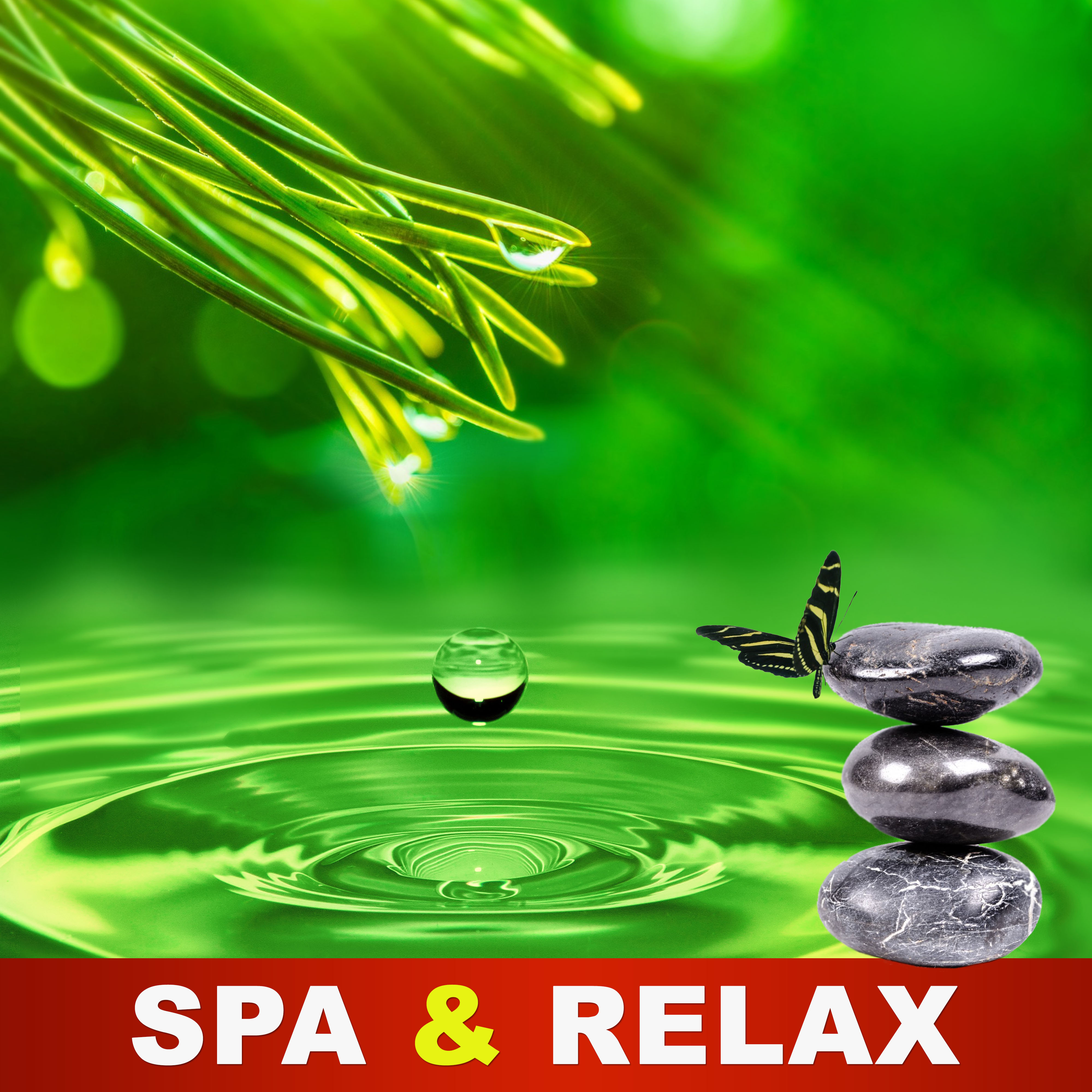 Spa & Relax – Gentle Music for Relaxation While Spa Treatments, Sensuality Sounds to Wellness, Massage