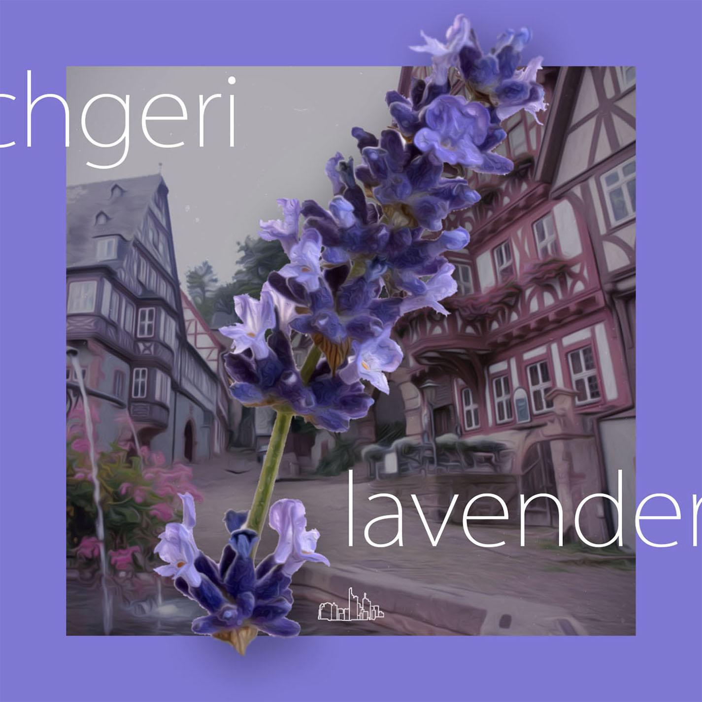 lavender