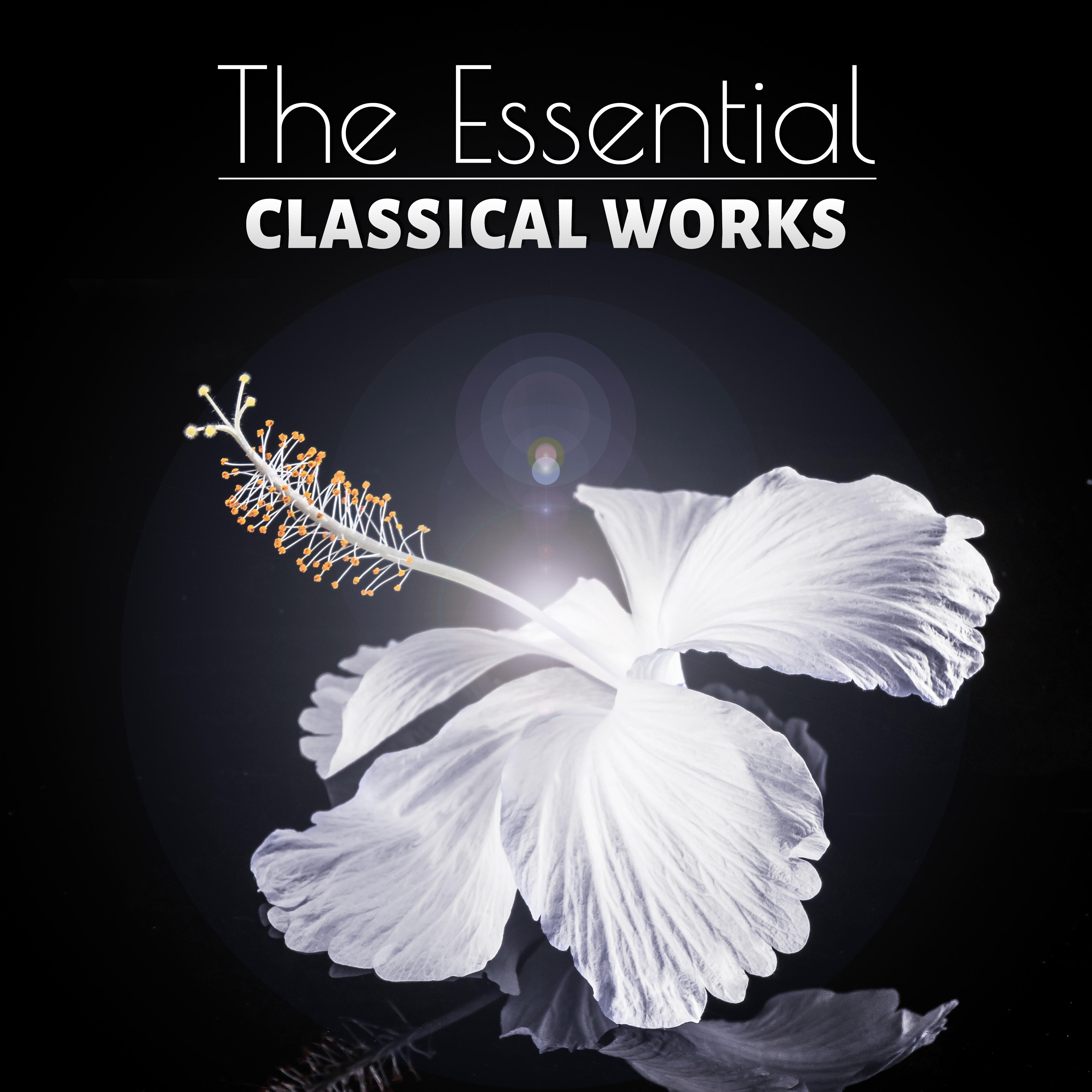 The Seasons No. 2 in D Major, Op. 37a ” February: The Carnival”: II. Allegro giusto