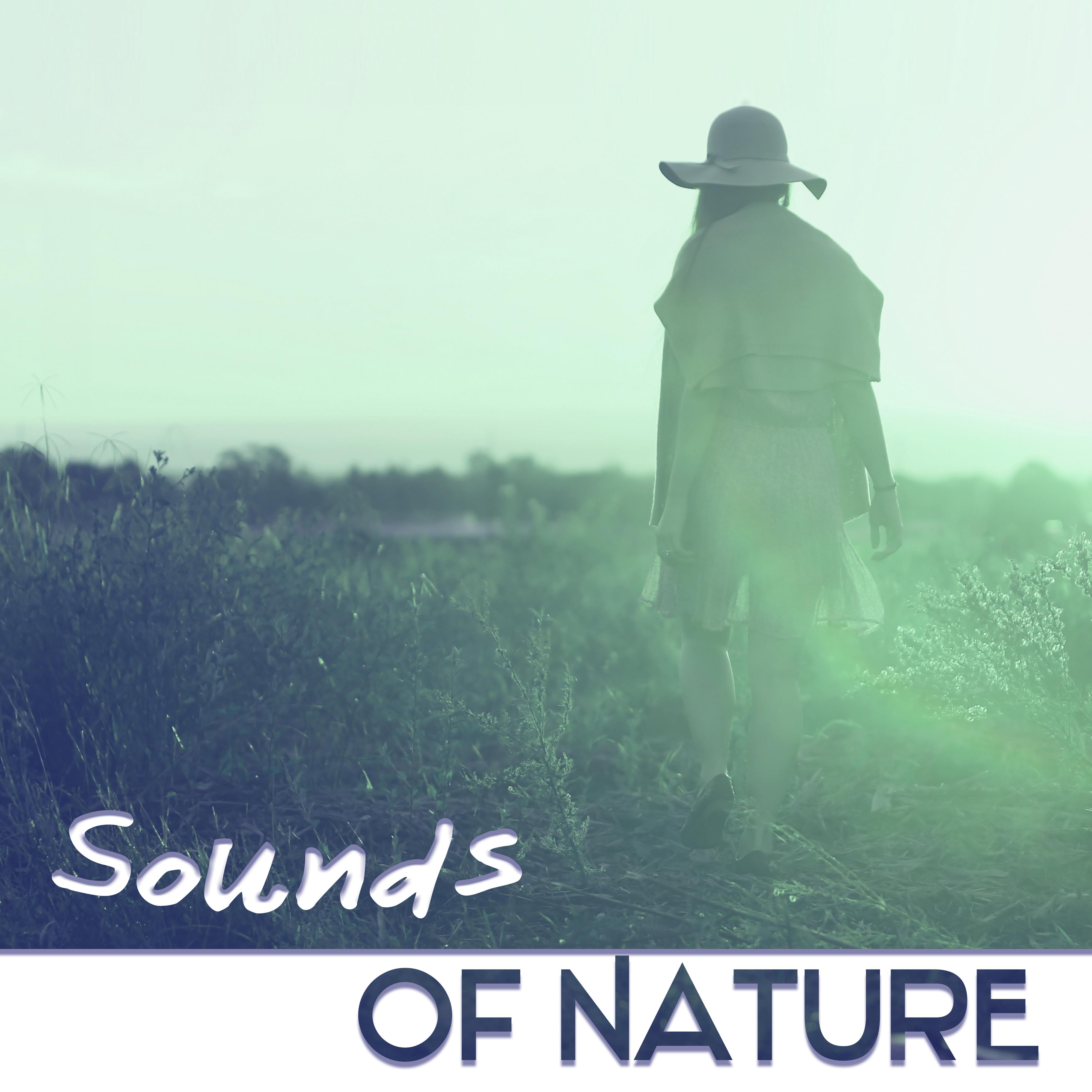 Sounds Of Nature – Music for Relaxation & Meditation, Sleep Song, Lucid Dream, Binaural Beats with Delta Waves