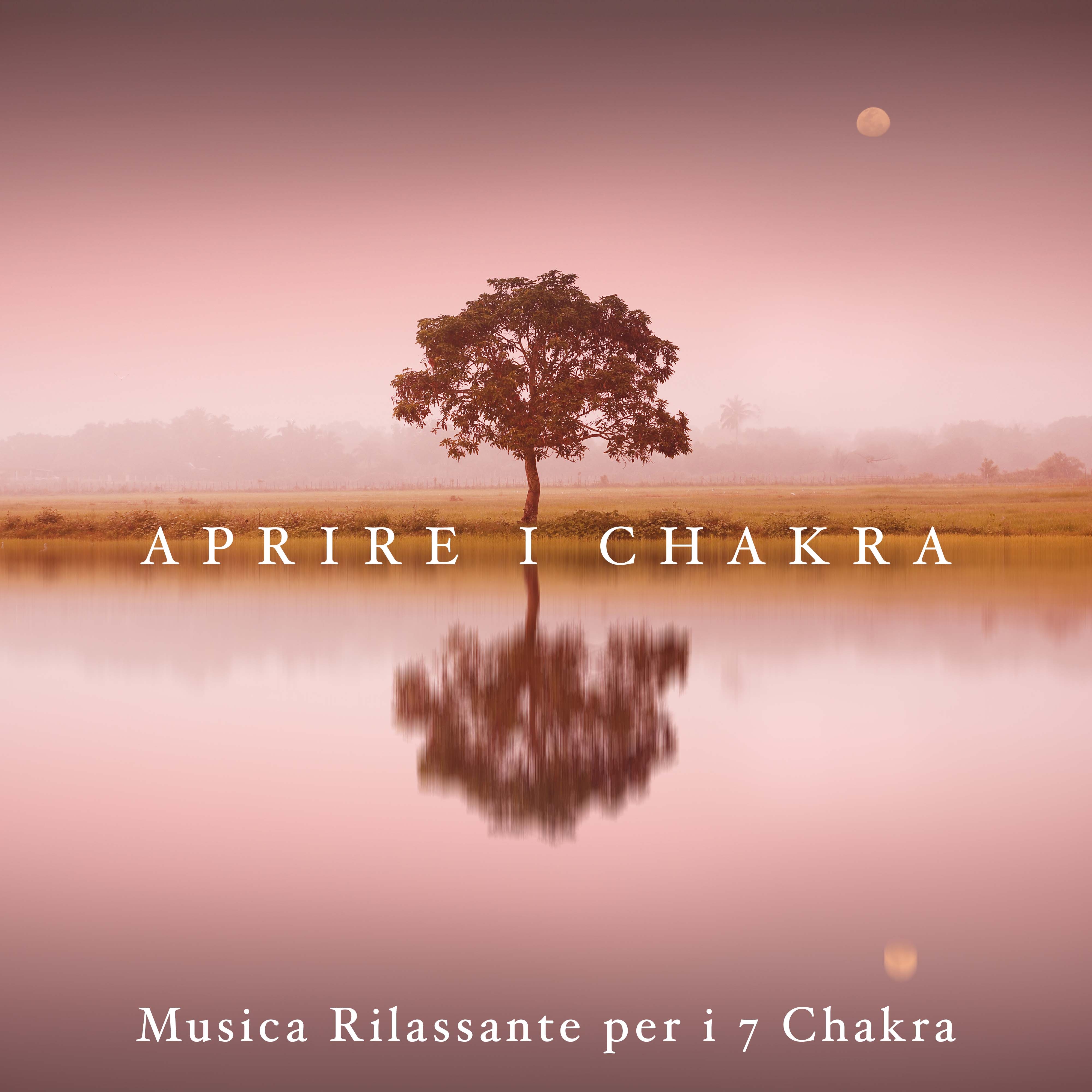 Aprire i Chakra - Musica RIlassante per i 7 Chakra con Rumore Bianco