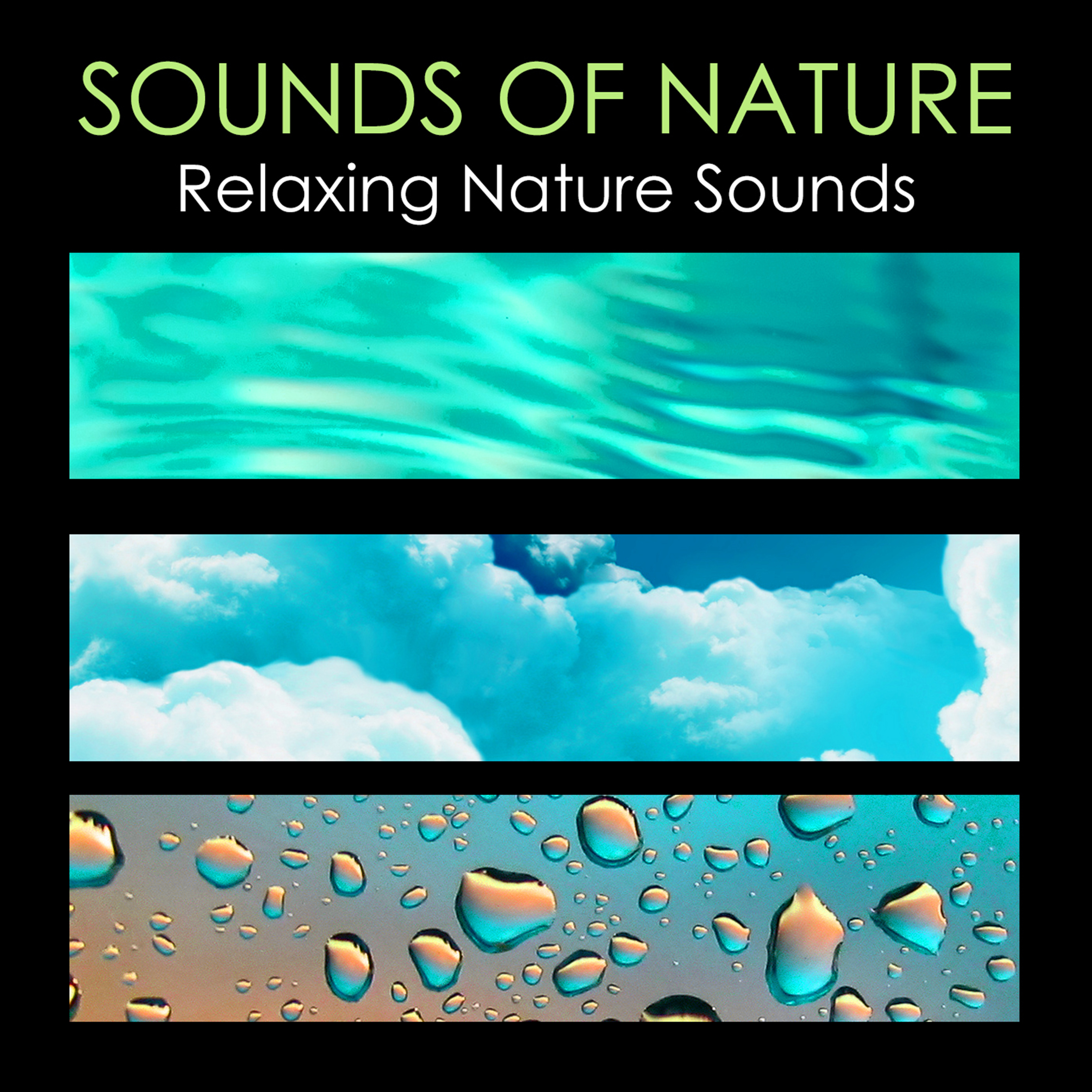 Water Sound and Tibetan Bells - Chirping Birds for a Peaceful Meditation Session