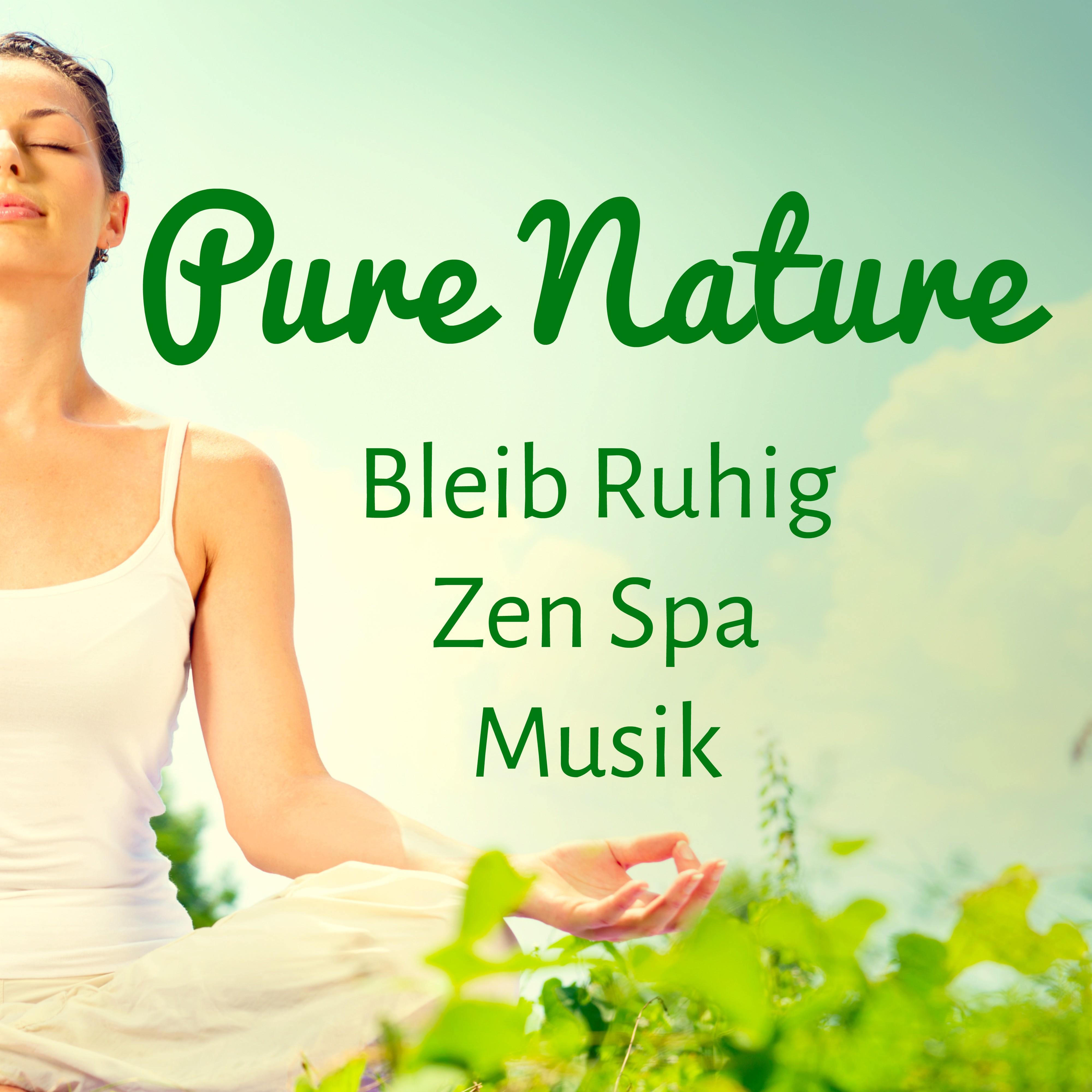 Pure Nature - Bleib Ruhig Zen Spa Musik für Konzentration Steigern Geführte Meditation und Spirituelles Training