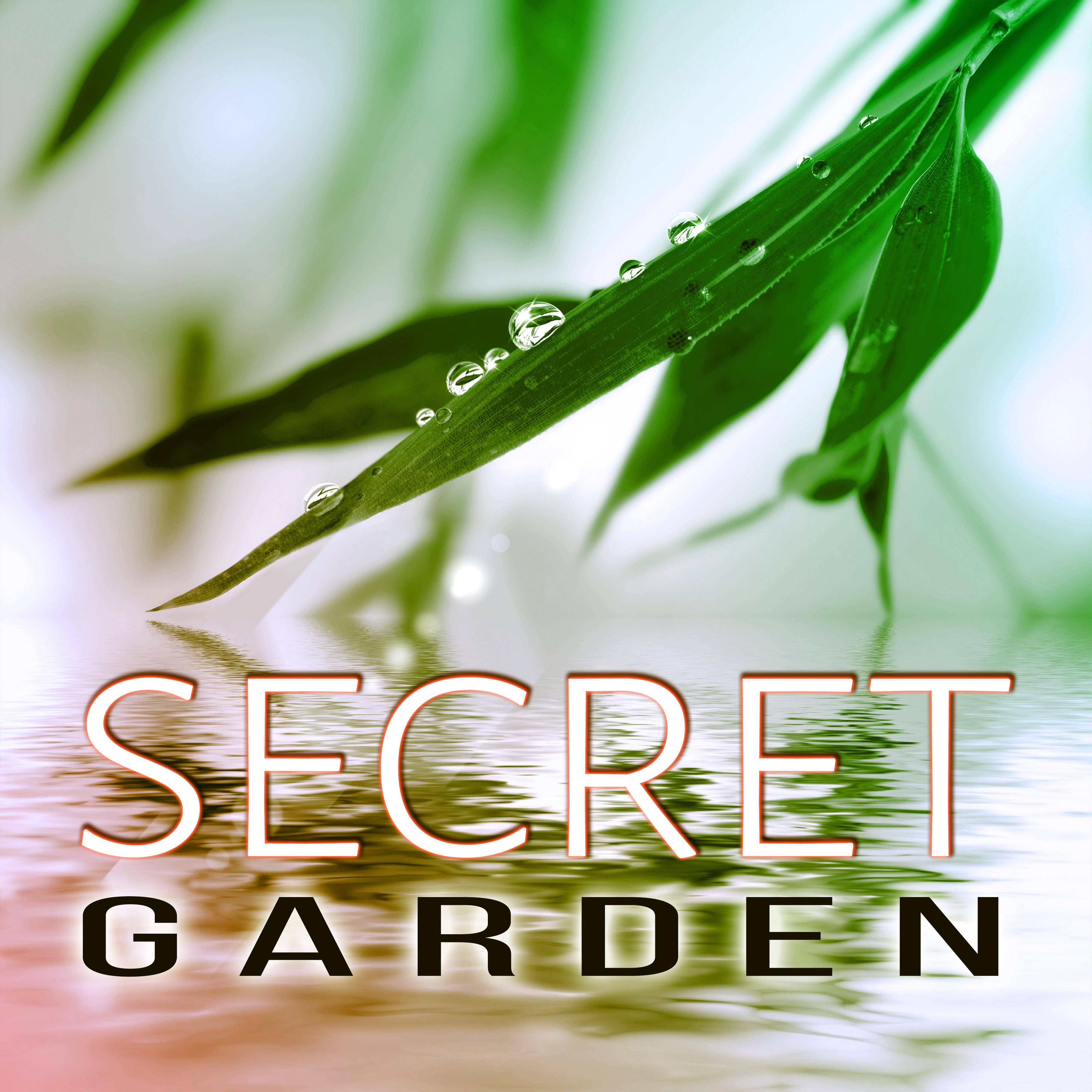 Secret Garden - Sounds of Nature, Meditation Deep Sleep, Massage Music, Spa, White Noise Therapy, Positive Thinking, Healing