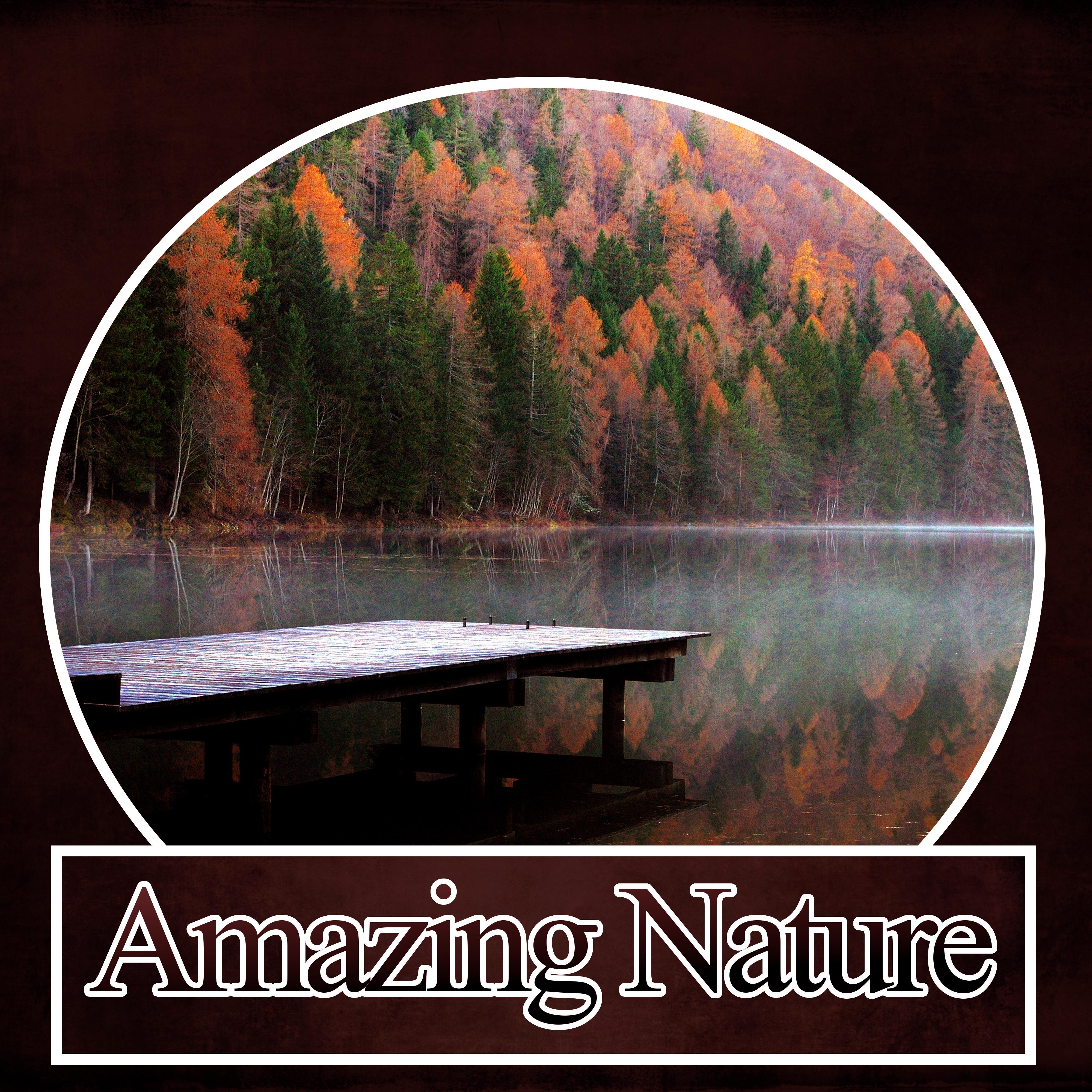 Amazing Nature – New Age Relaxation Sounds, Wellness Spa Lounge, Soothing Sounds, Gentle Touch, Background Music, Massage Spa