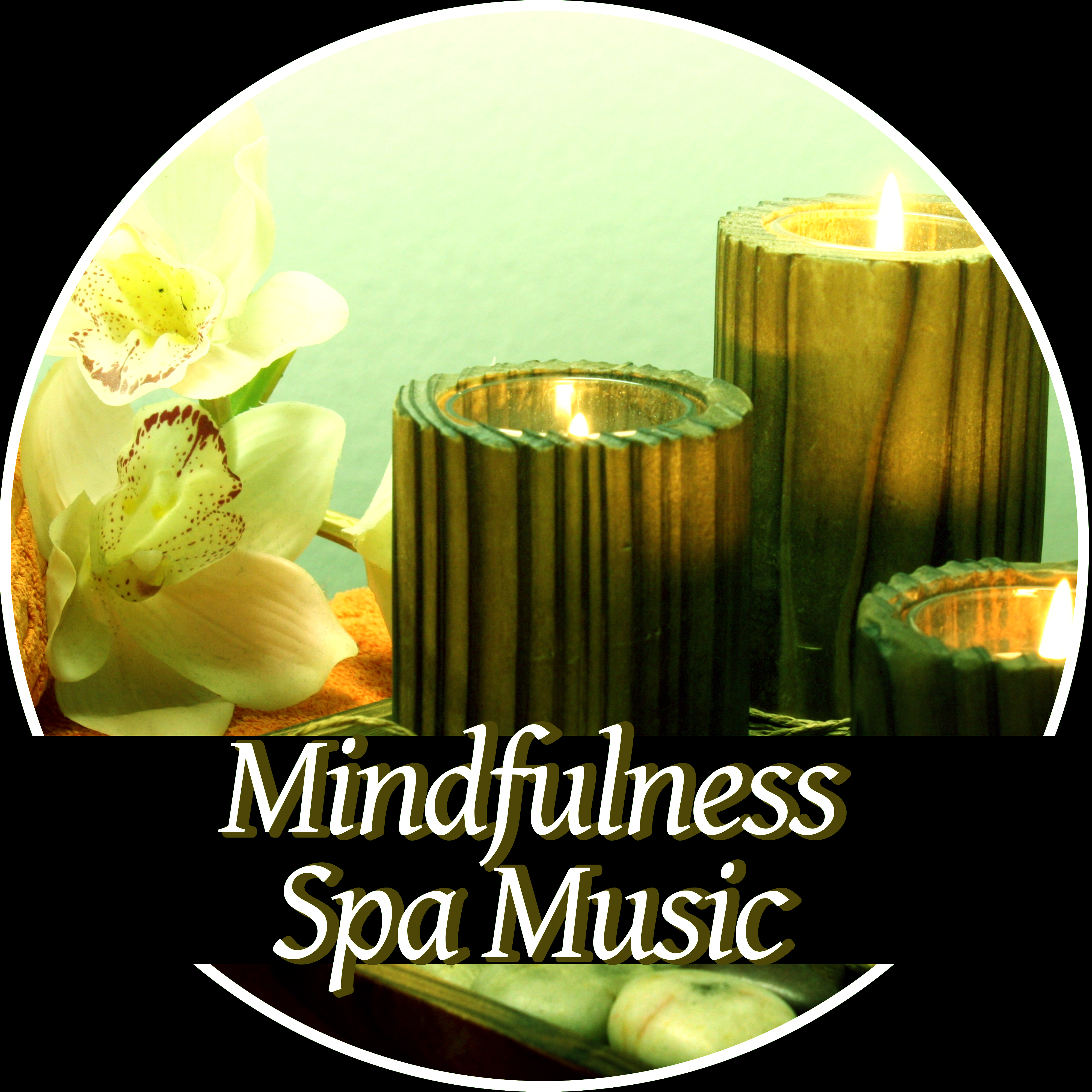 Mindfulness Spa Music - Peaceful Music with the Sounds of Nature, Deep Zen Meditation & Well Being, Mindfulness Meditation Spiritual Healing, Anti Stress