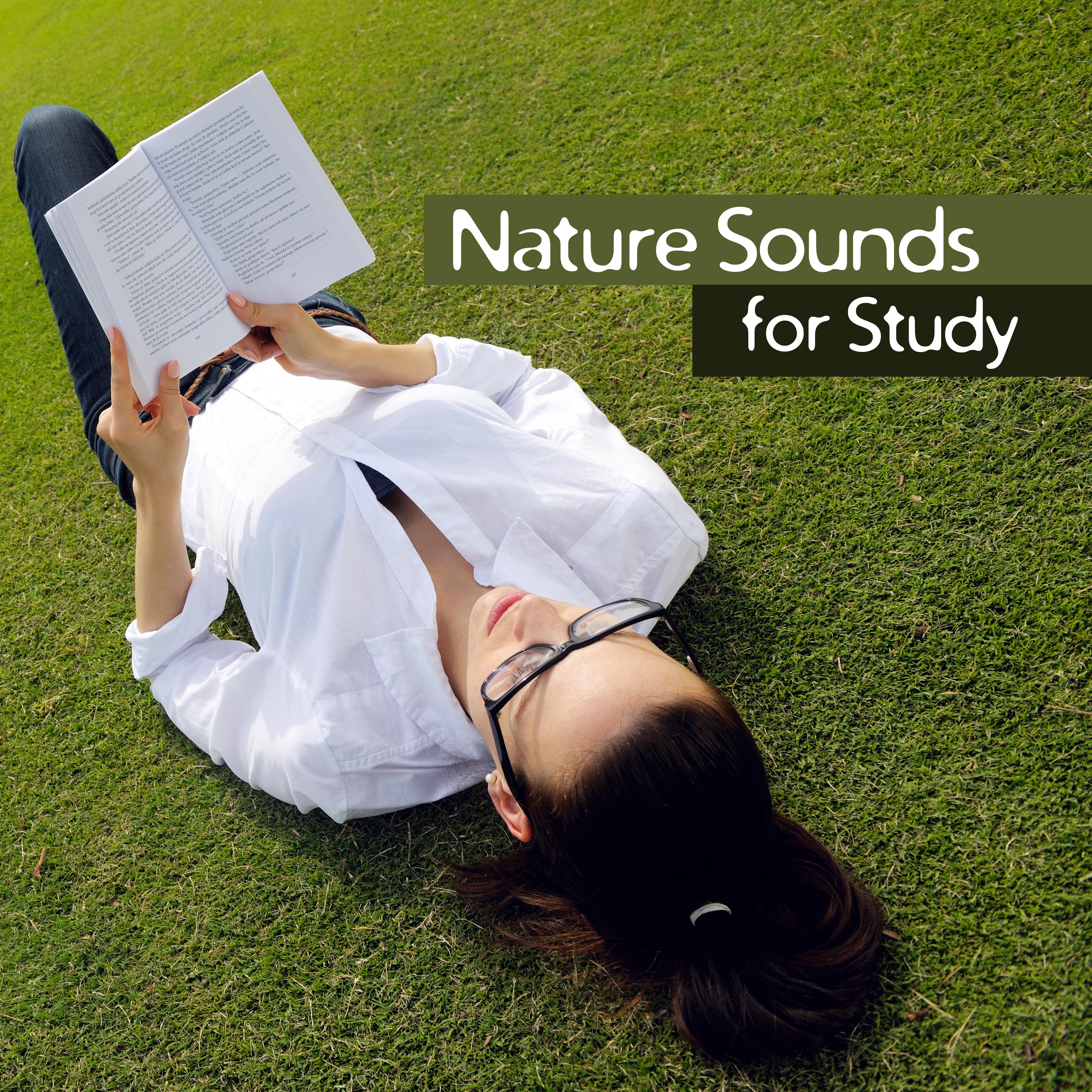 Nature Sounds for Study