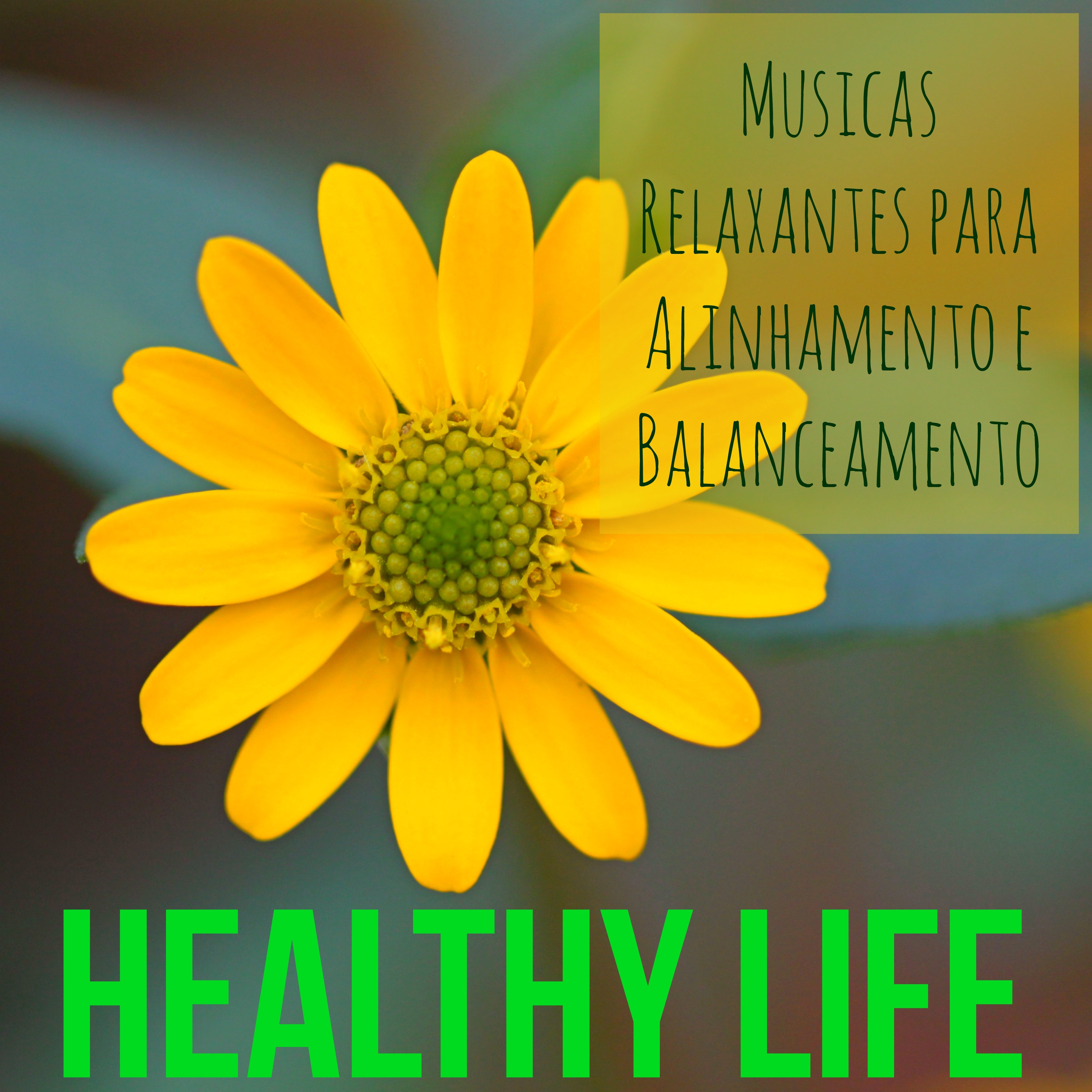 Healthy Life - Musicas Relaxantes Chill de Meditação para Alinhamento e Balanceamento con Sons da Natureza Instrumentais