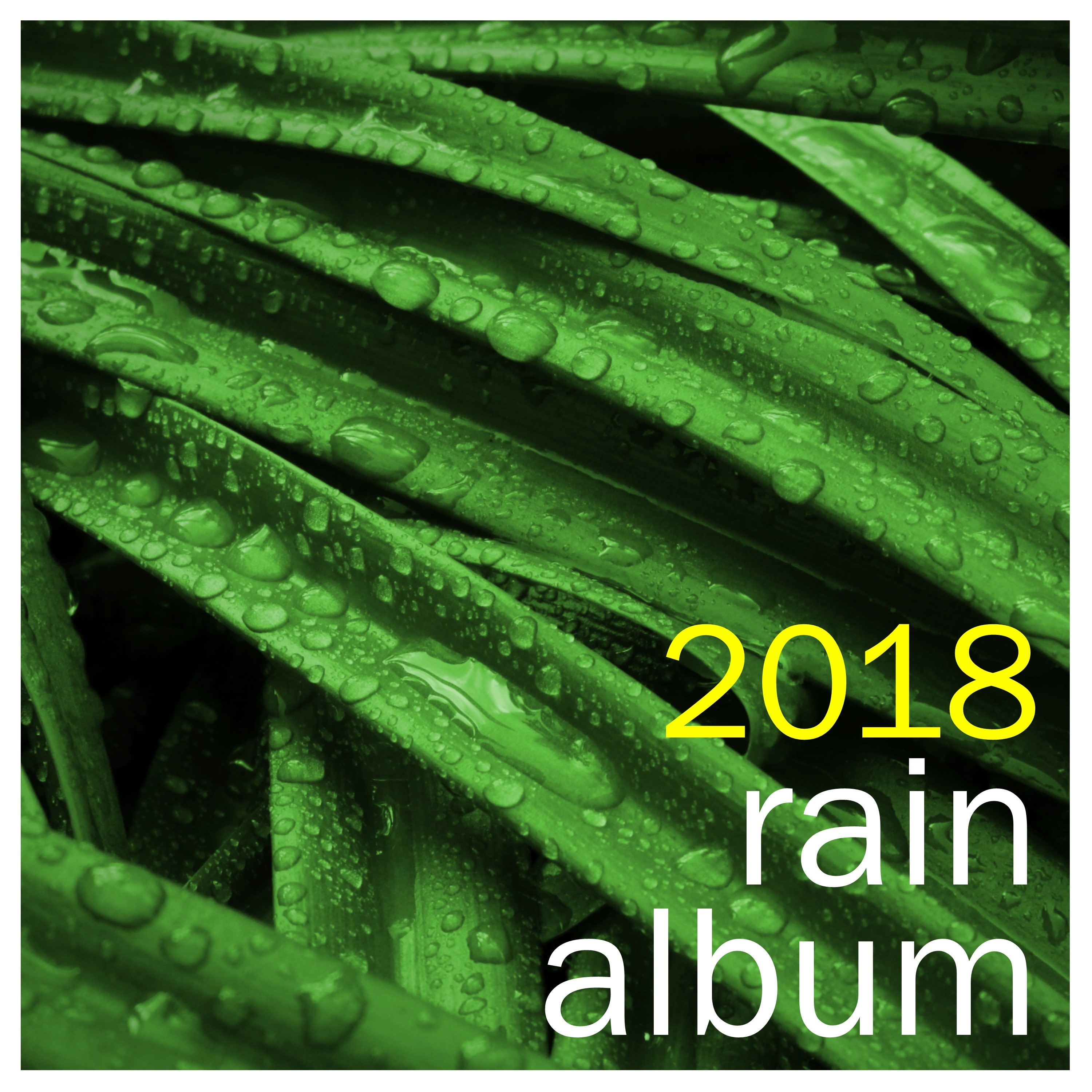 2018 Deep Sleep Rain Album - Great for Yoga, Meditation or Spa