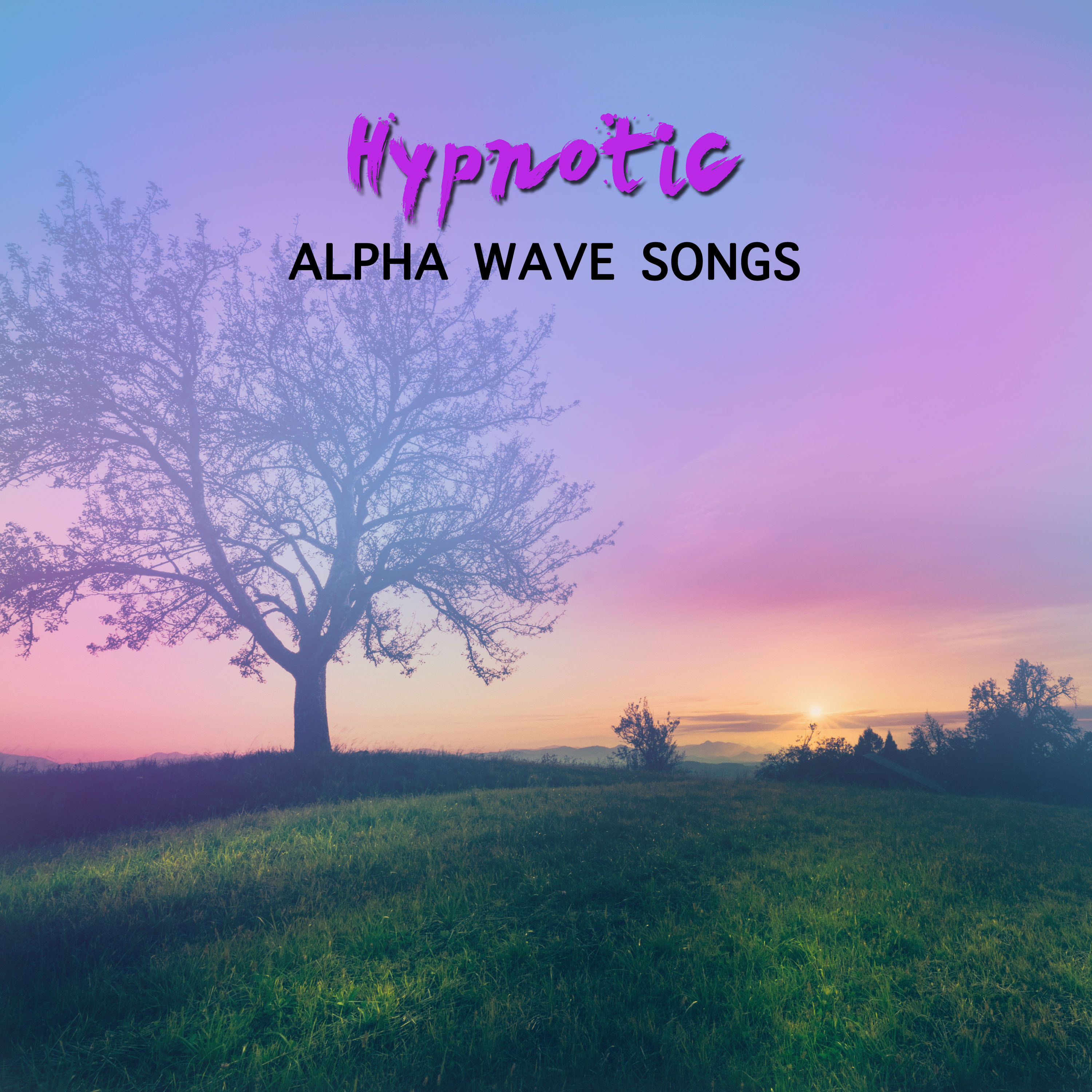 #20 Hypnotic Alpha Wave Songs