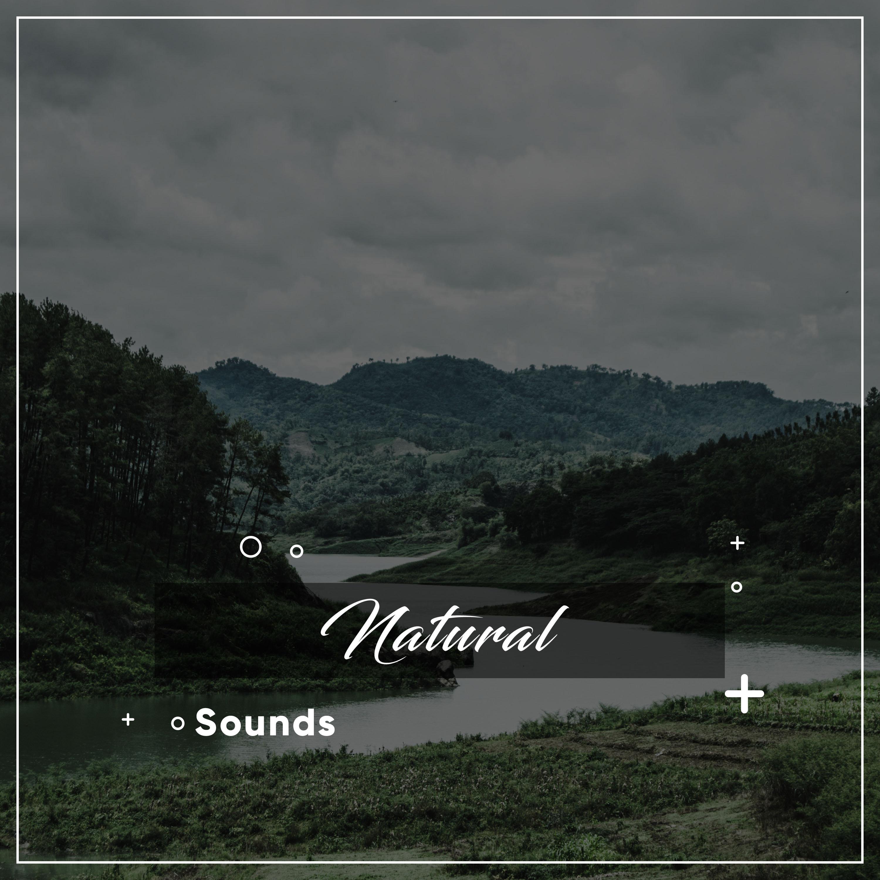 #17 Natural Sounds for Asian Spa, Meditation & Yoga