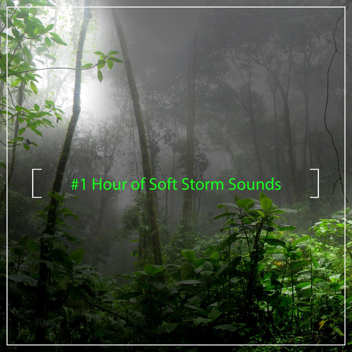 #1 Hour of Soft Storm Sounds for Relaxing with Nature